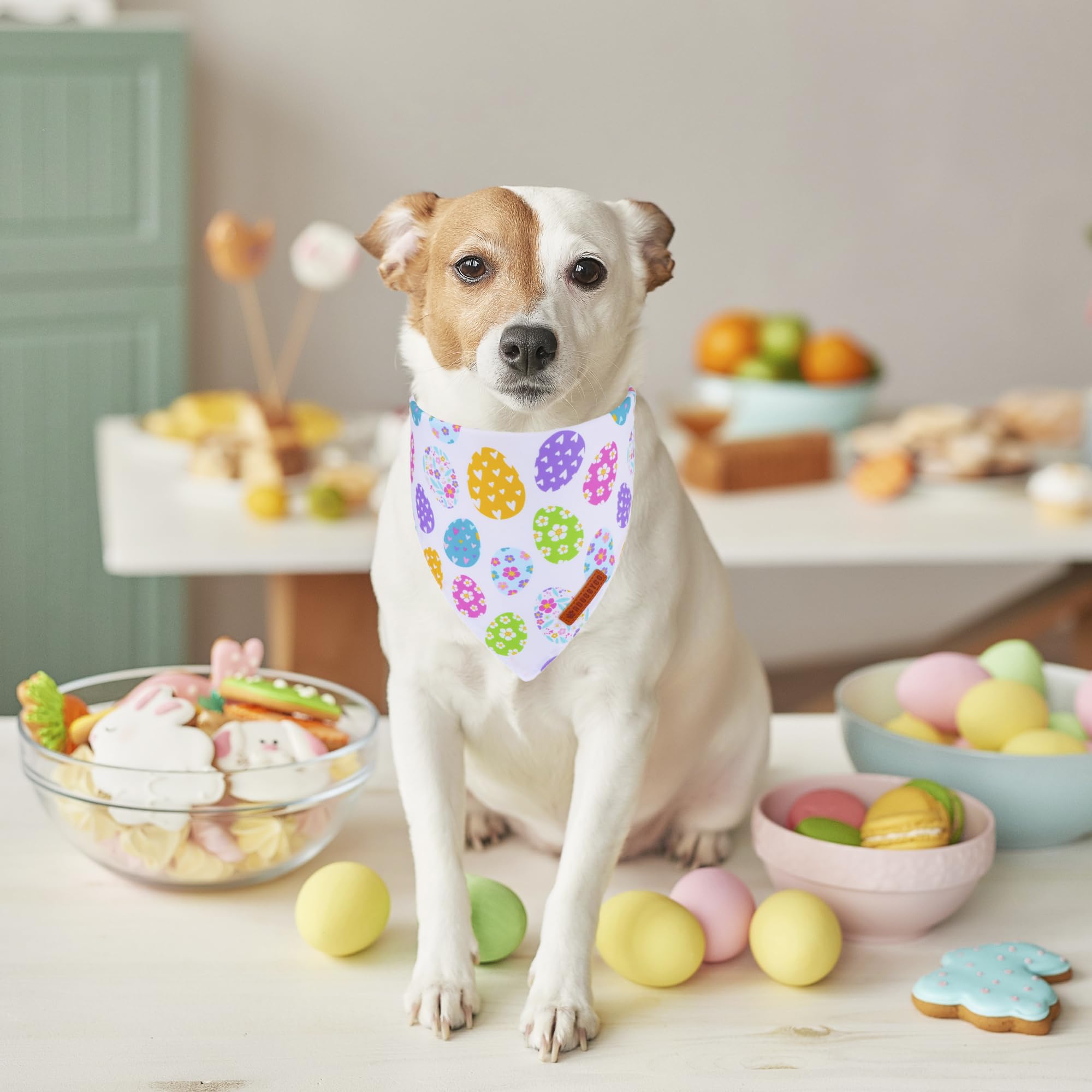 ADOGGYGO Easter Dog Bandana, Egg Rabbit Carrot Pet Scarf, Premium Durable Fabric, White Orange Easter Bandanas for Medium Large