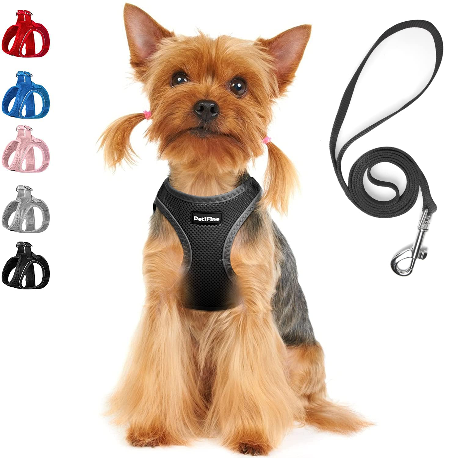 Petifine Extra Small Step In Dog Harness And Leash Set, Cat Harness And Leash Escape Proof, All Weather Mesh Reflective, Step-In