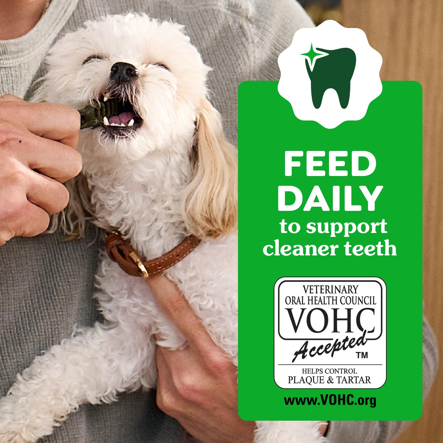 Greenies Puppy Teenie Size Dental Dog Treats, 6 oz. Pack (22 Treats)