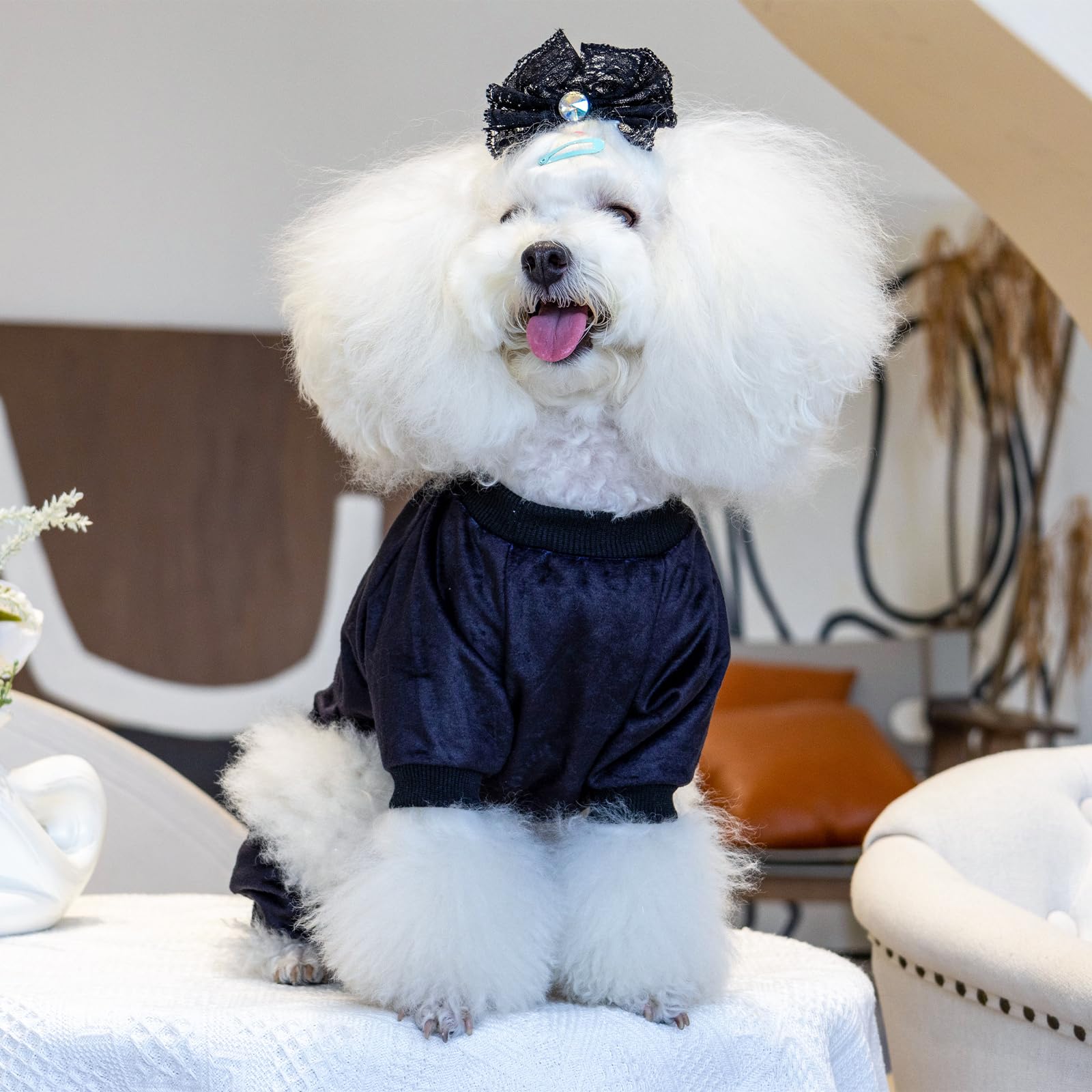 Cutebone Dog Halloween Pajamas Puppy Onesies Christmas Small Dogs Soft Pjs Coat Cat Apparel Comfy Pet Clothes Outfit Doggie Bodysuit P296M