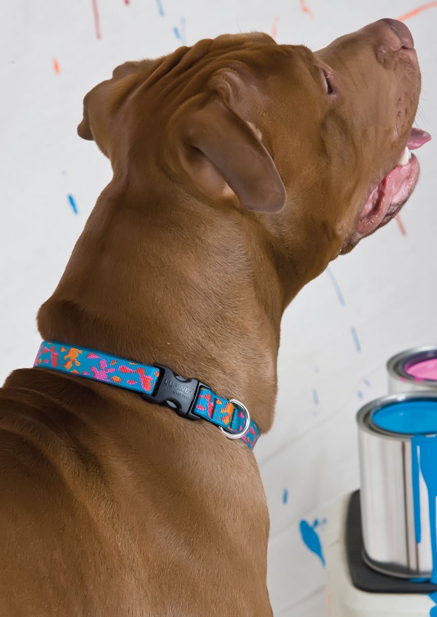 Lupinepet Originals 3/4' Wet Paint 13-22' Adjustable Collar For Medium And Larger Dogs