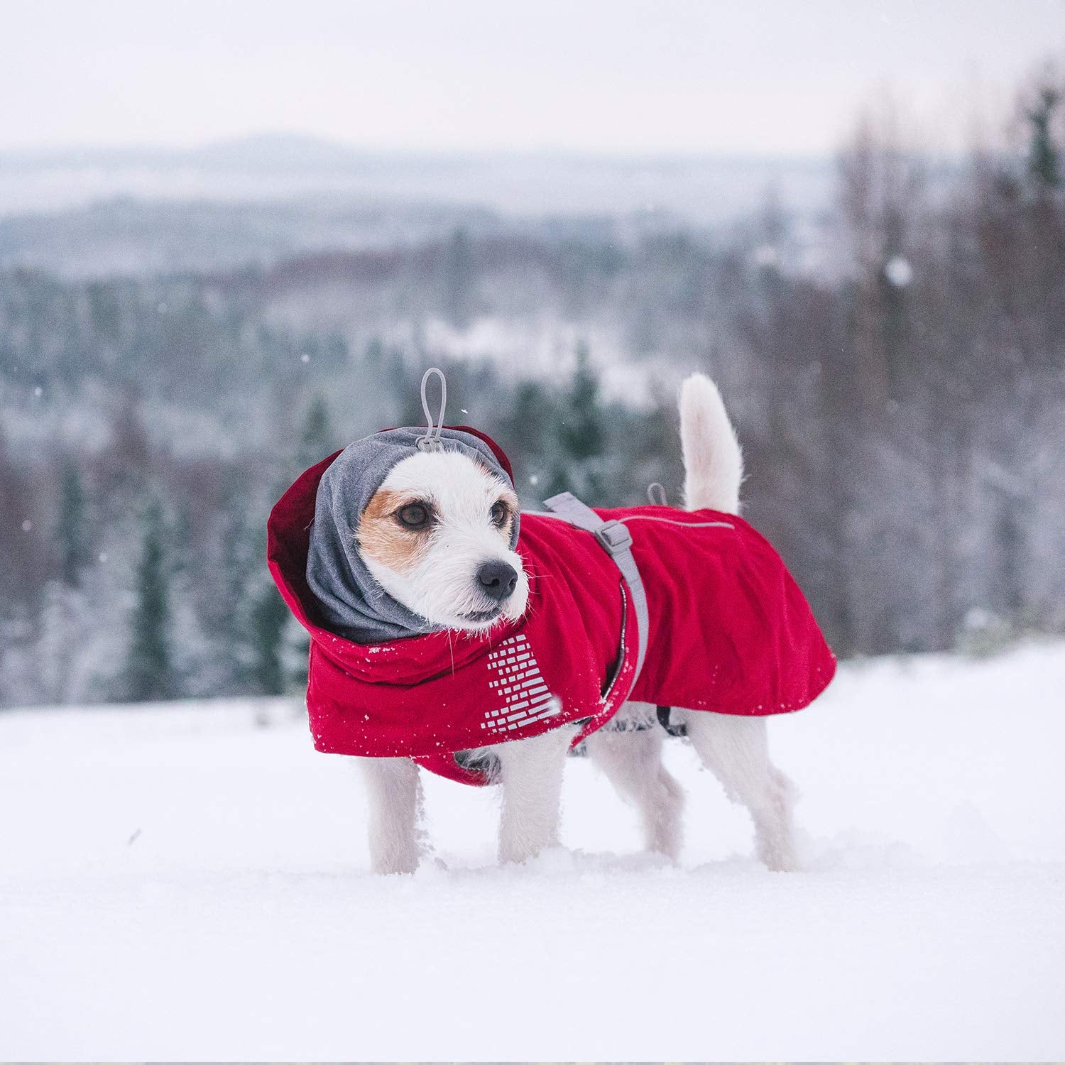 Hurtta Extreme Warmer Dog Winter Jacket, Lingon, 26 In