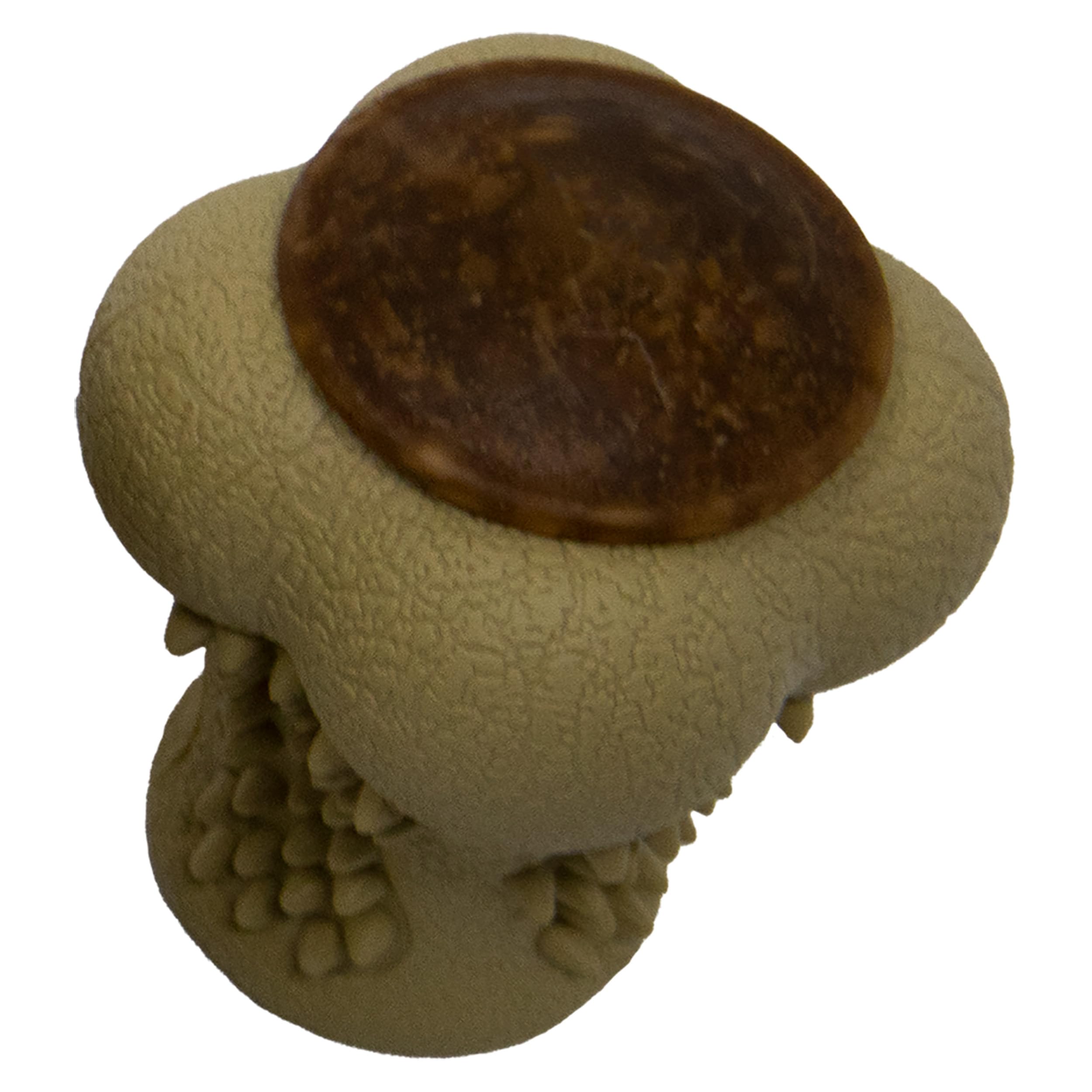 Starmark RubberTuff Treat Bone (Small), Brown