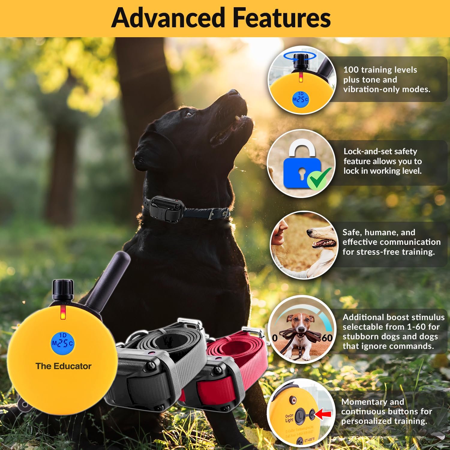 Educator E-Collar Humane Dog Training Collar With Remote, 100 Safe Tapping Stimulation Levels, Night Light, Waterproof, Rechargeable, 3/4 Mile 2 Small-Medium Dogs, Yellow