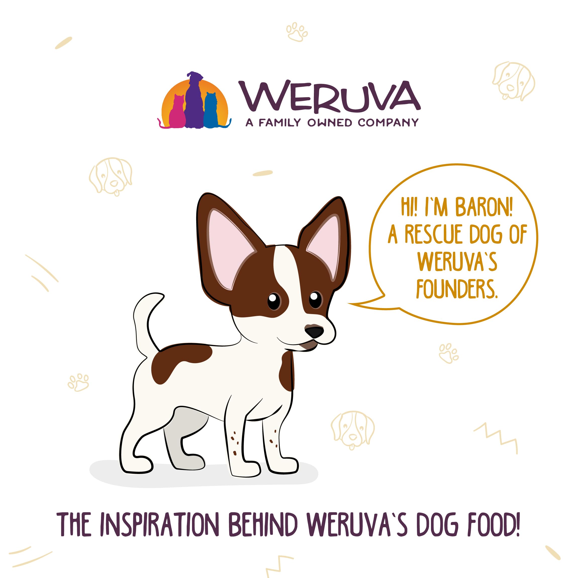 Weruva Classic Dog Food, Variety Pack, Barons Batch, Wet Dog Food, 14oz Cans (Pack of 12), Multi