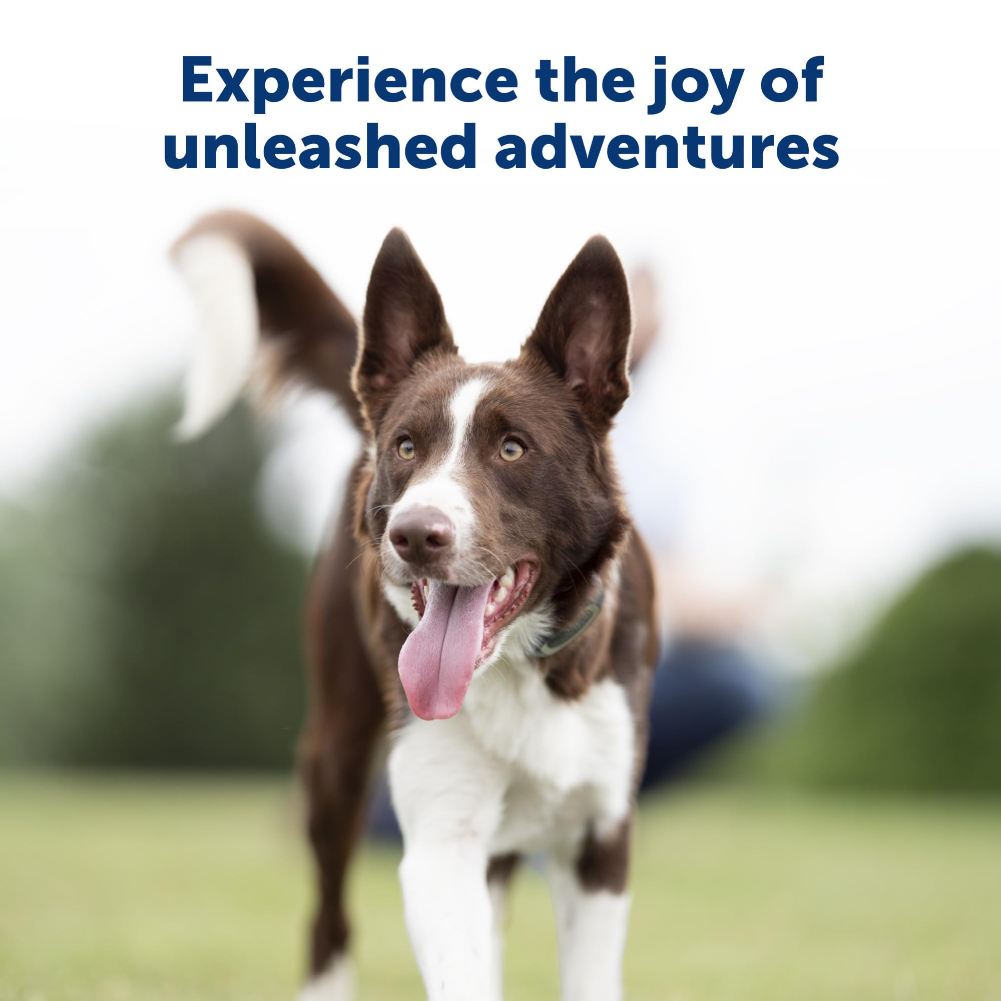 Petsafe 900 Yard Remote Training Collar - Choose From Tone, Vibration, Or 15 Levels Of Static Stimulation - Longest Range Option For Training Off Leash Dogs - Waterproof And Durable - Rechargeable