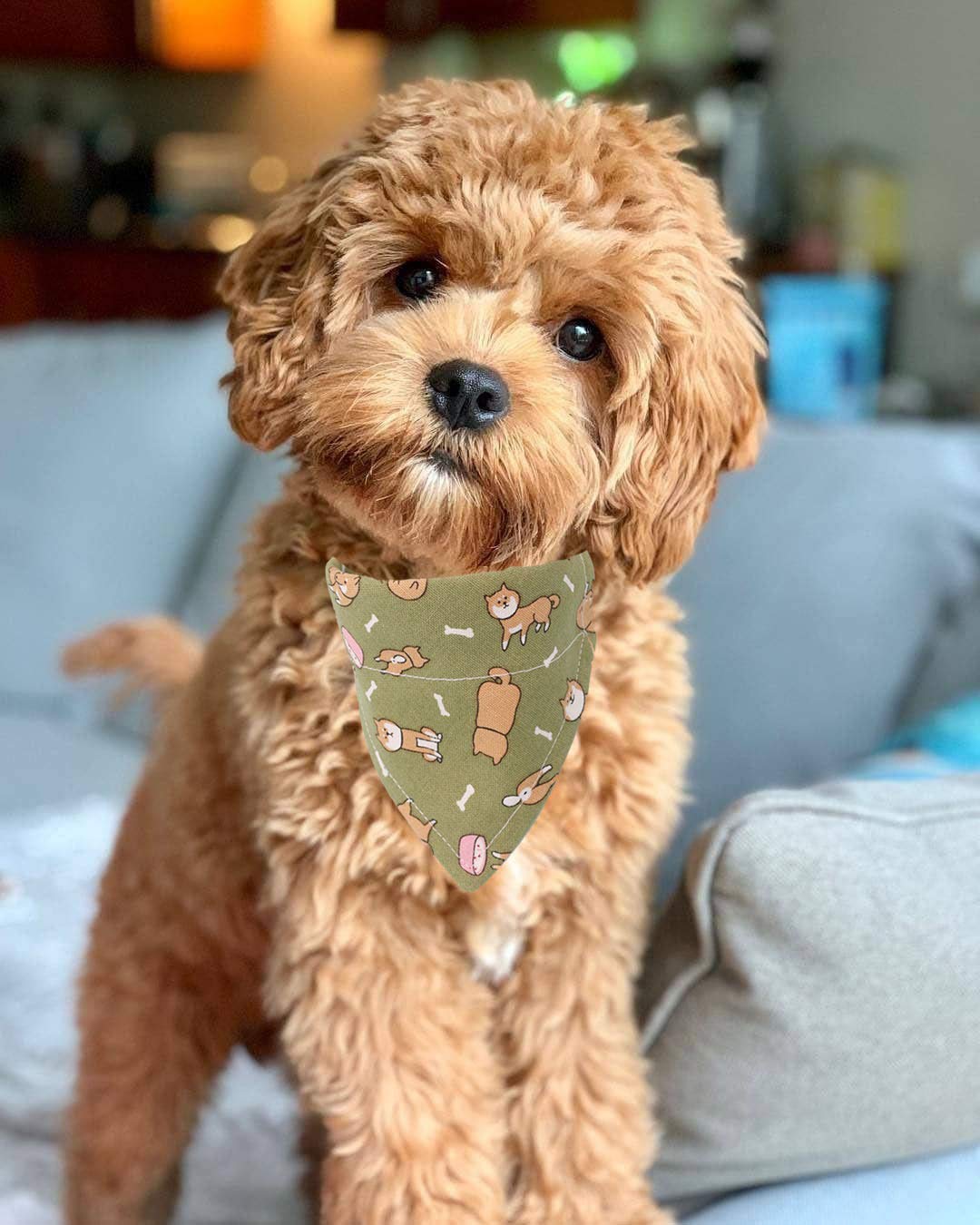 Timoey Dog Collars For Small Dogs,Adjustable Leather Puppy Collar Bandana And Cute Style Dog Bandanas For Large Dogs(Large)