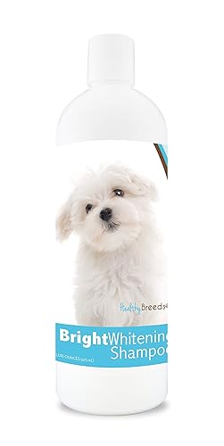 Healthy Breeds Maltese Bright Whitening Shampoo 12 Oz, Pina Colada