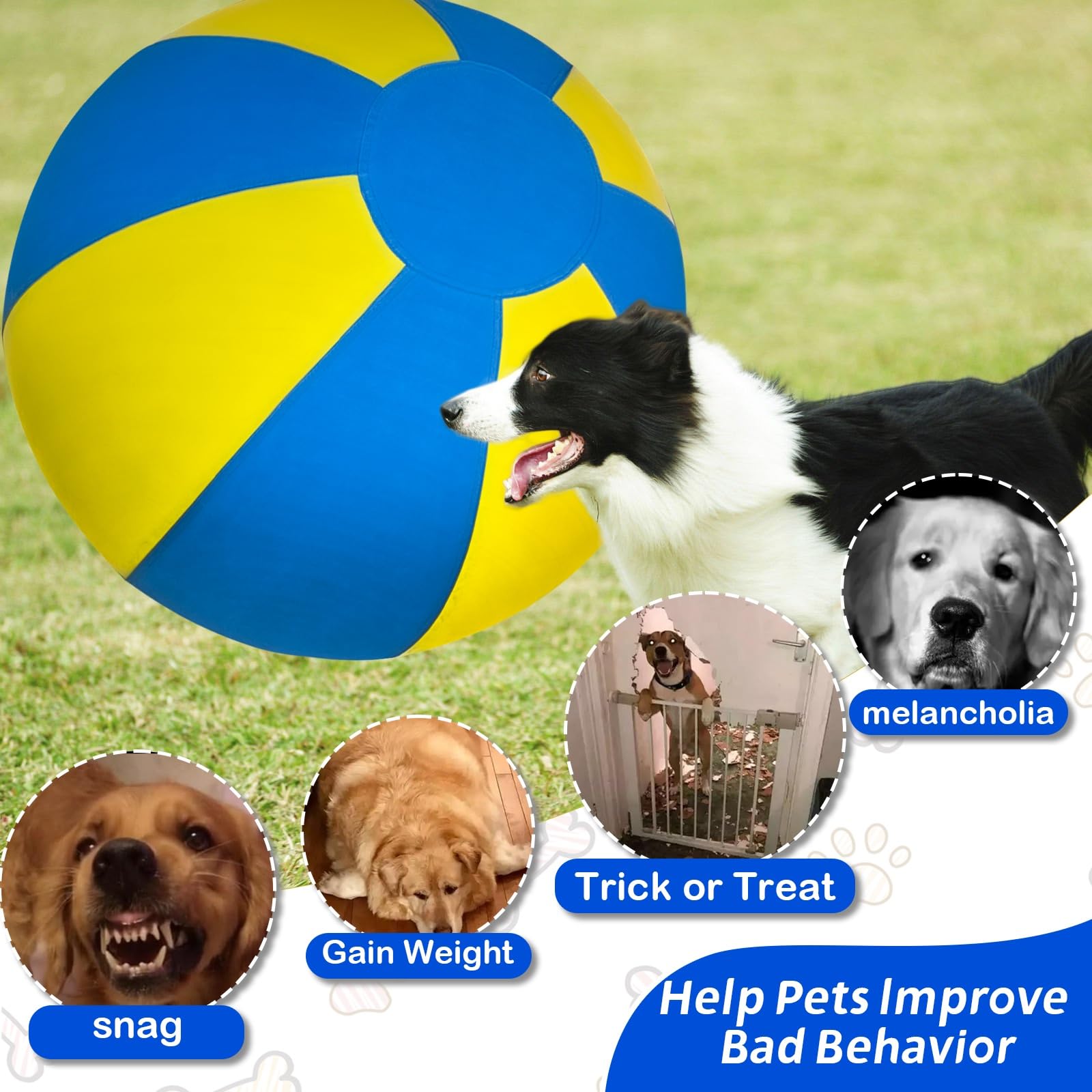 Herding Ball For Dogs, Dual Layered Set For Australian Shepherd, Cattle, Collie, Agility Equipment-Free Training Book (Blue & Ye