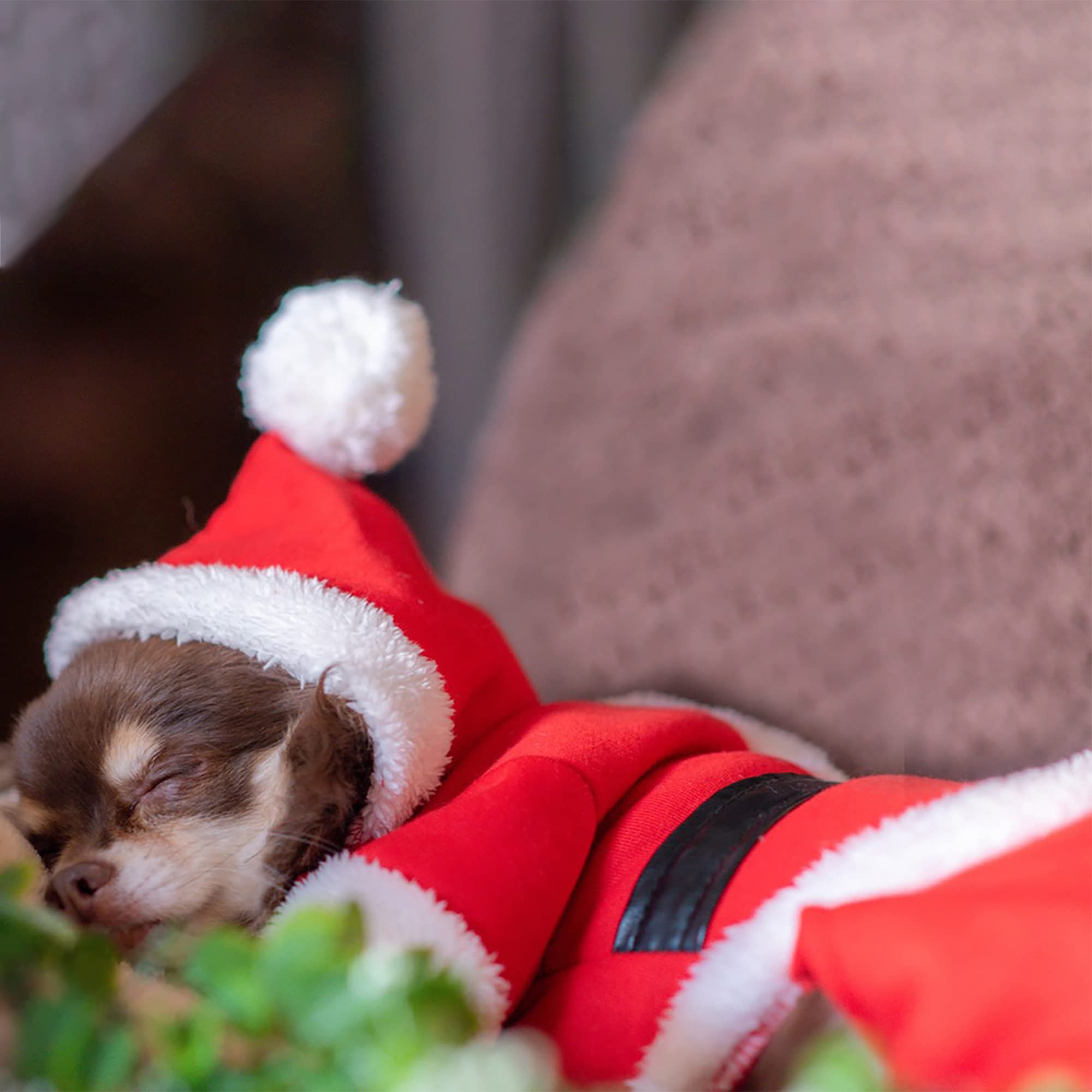 Dog Dresses For Small Medium Dogs Girl Pet Christmas Costumes Santa Dog Clothes Doggie Outfits Fall Winter Coats Puppy Kitty Hoodies