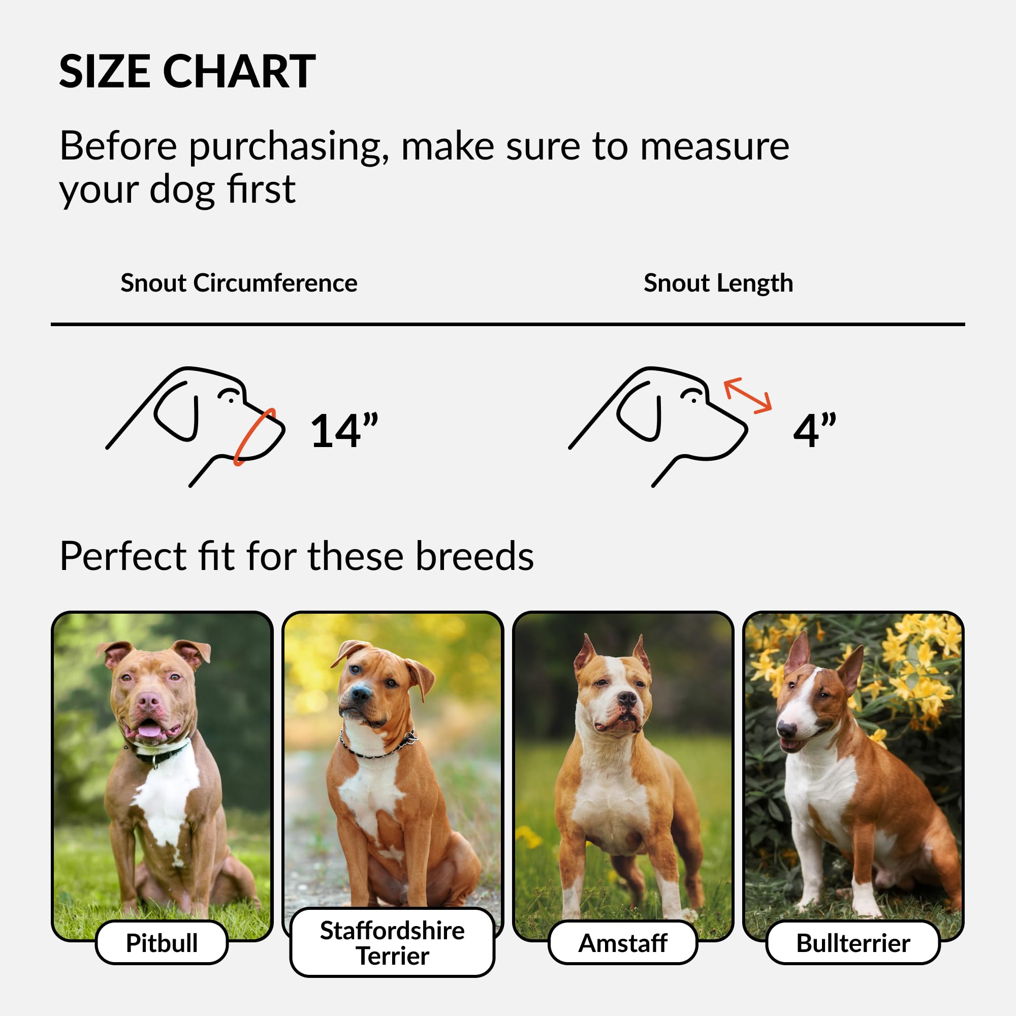 Collardirect Leather Basket Dog Muzzle For German Shepherd Staffordshire Terrier Pitbull Medium Large Breeds Training, Anti-Bark