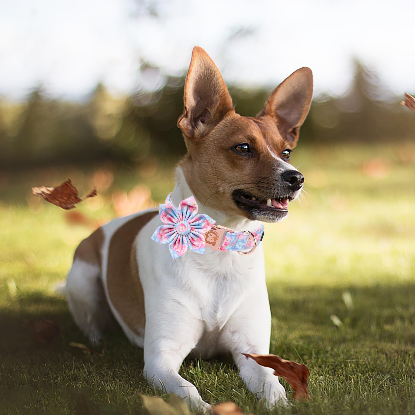 Mr. Chubbyface Spring Summer Dog Collar, Cotton Ink Style Flower Pattern Dog Collar With Metal Buckle,Soft Adjustable Pet Collar