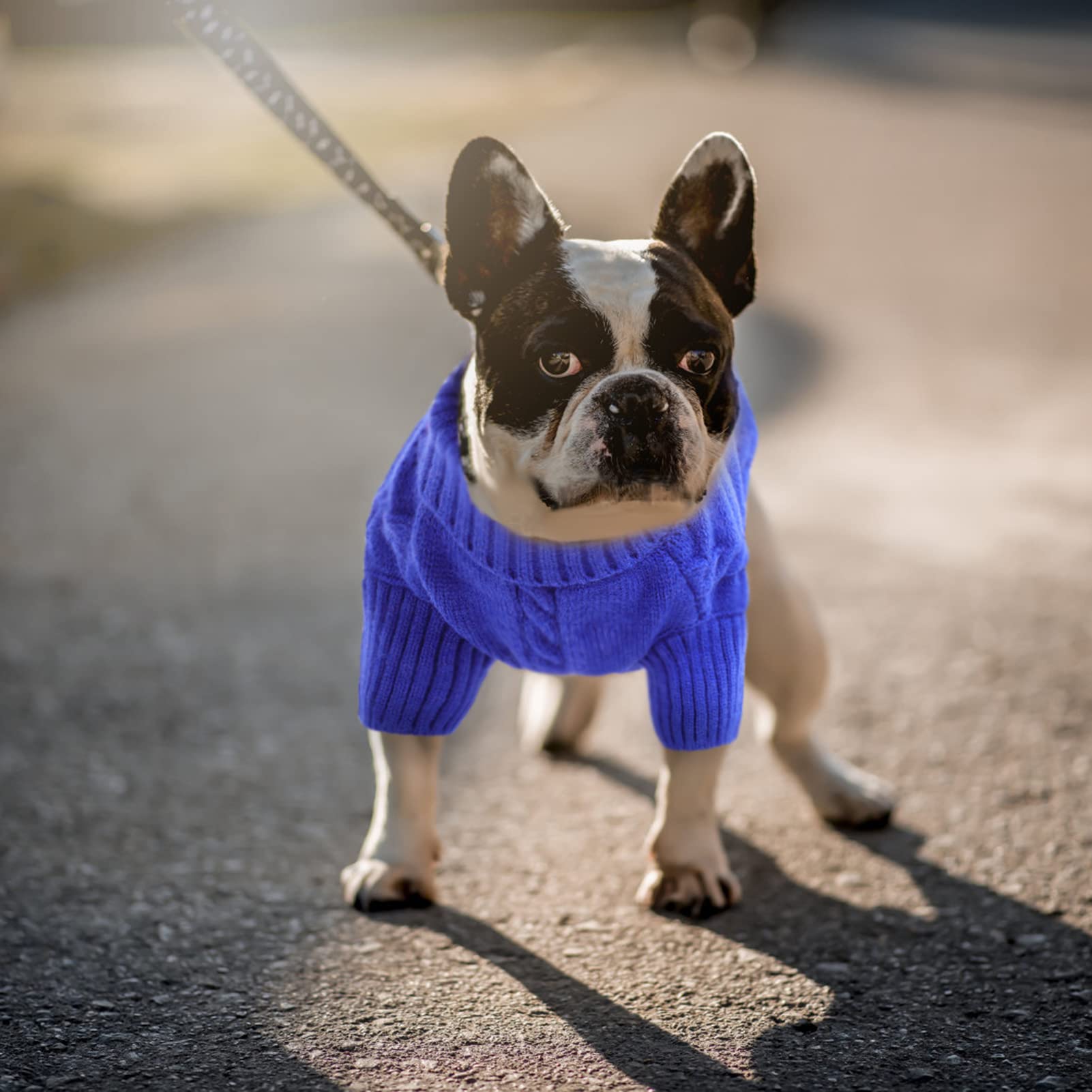Queenmore Xxl Sweater For Large Dogs, Warm Turtleneck Knitted For Pitbull Doberman, Winter Clothes For Male Female Dogs (Royal B