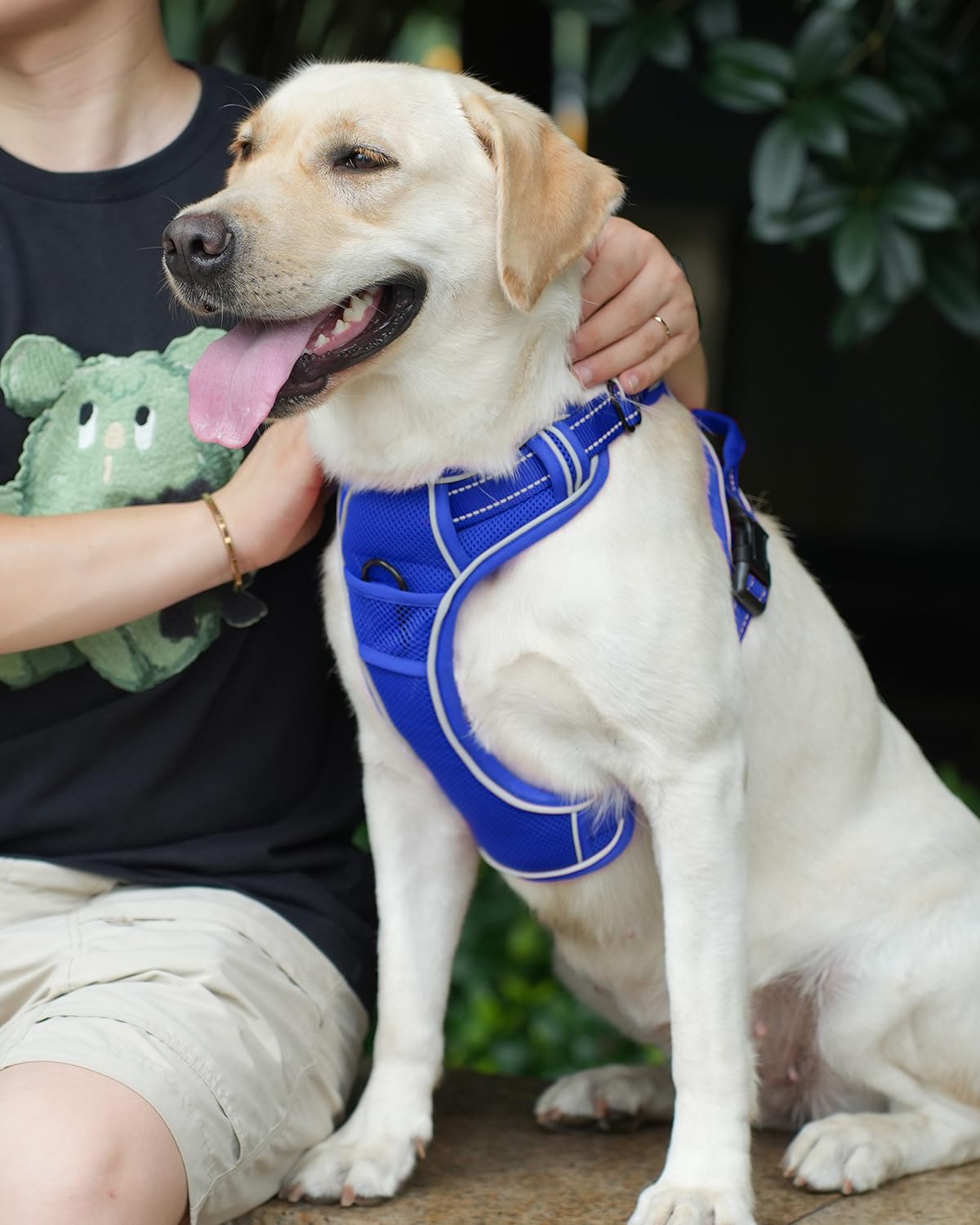 Joytale Step-In No Pull Dog Harness For Extra Large Dogs With 2 Leash Clips, Reflective Pet Vest With Easy Control Handle, Adjus