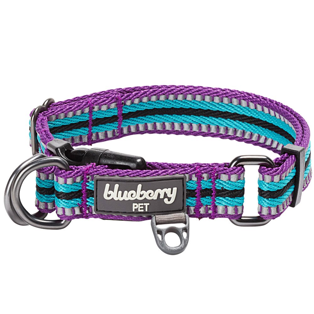 Blueberry Pet 10+ Colors 3M Reflective Multi-Colored Stripe Adjustable Dog Collar, Violet And River Blue, Large, Neck 18'-26'