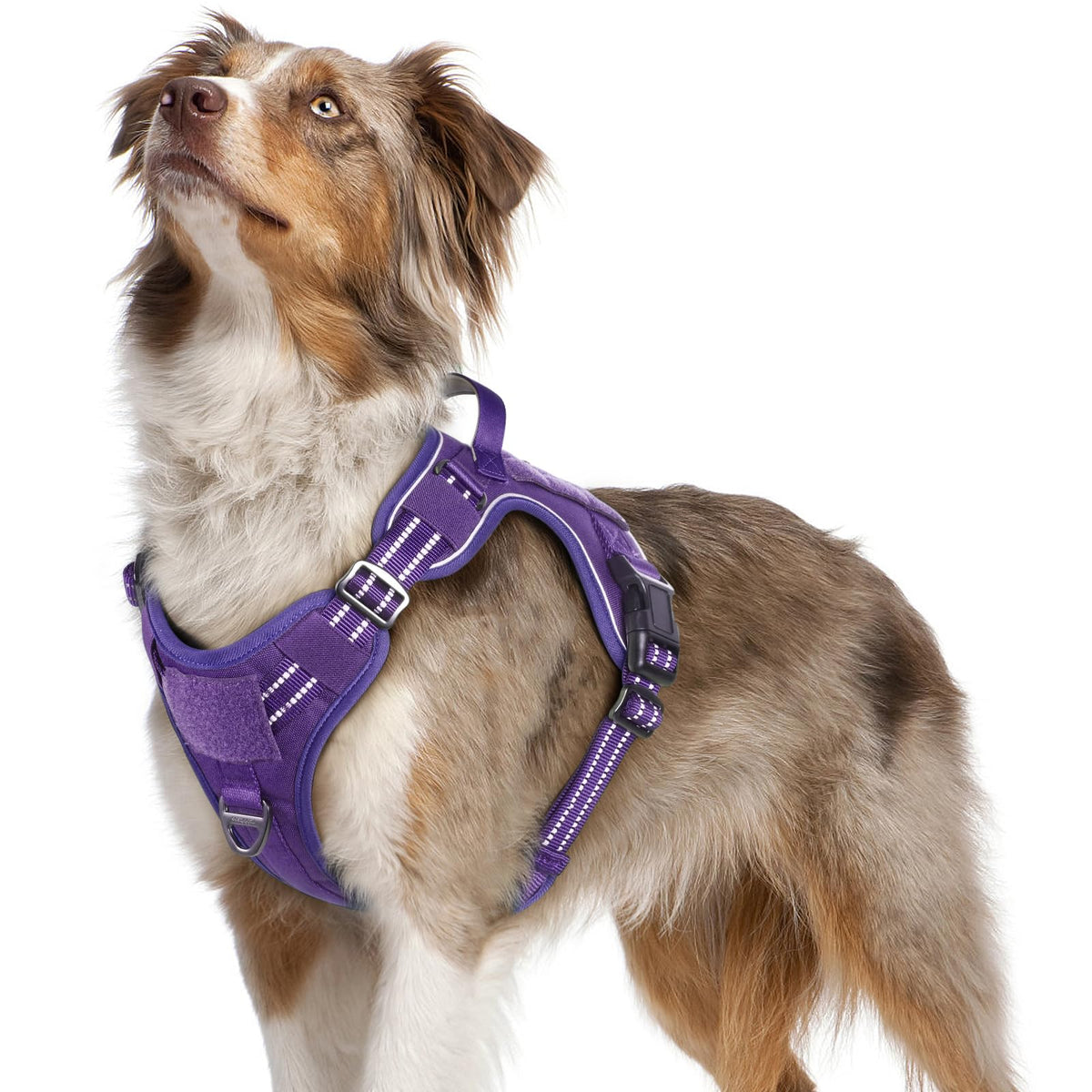 Rabbitgoo Dog Harness No Pull, Military Dog Harness Medium Sized Dog With Handle & Molle, Easy Control Service Dog Vest Harness Training Walking, Adjustable Reflective Tactical Pet Harness, Purple, M