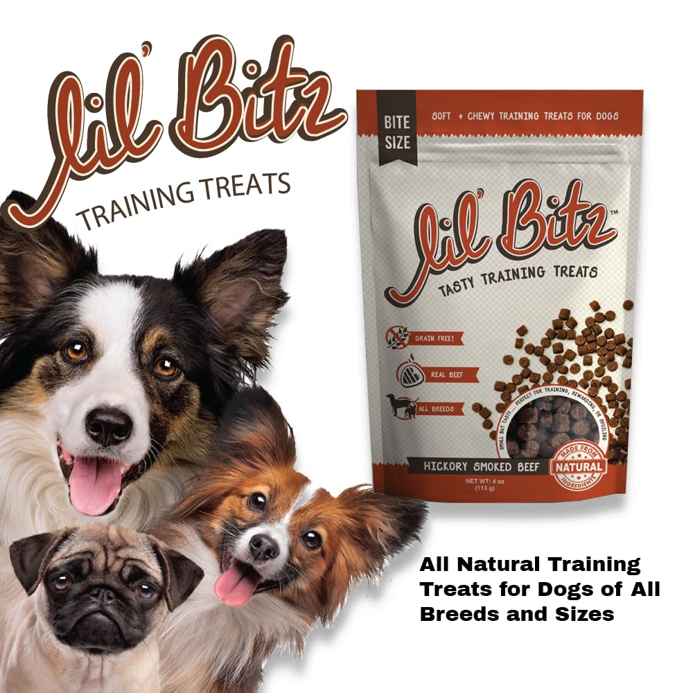 Lil Bitz Training Treats for Dogs and Cats (1 Pack, All Dog Sizes - Hickory Smoked Beef)