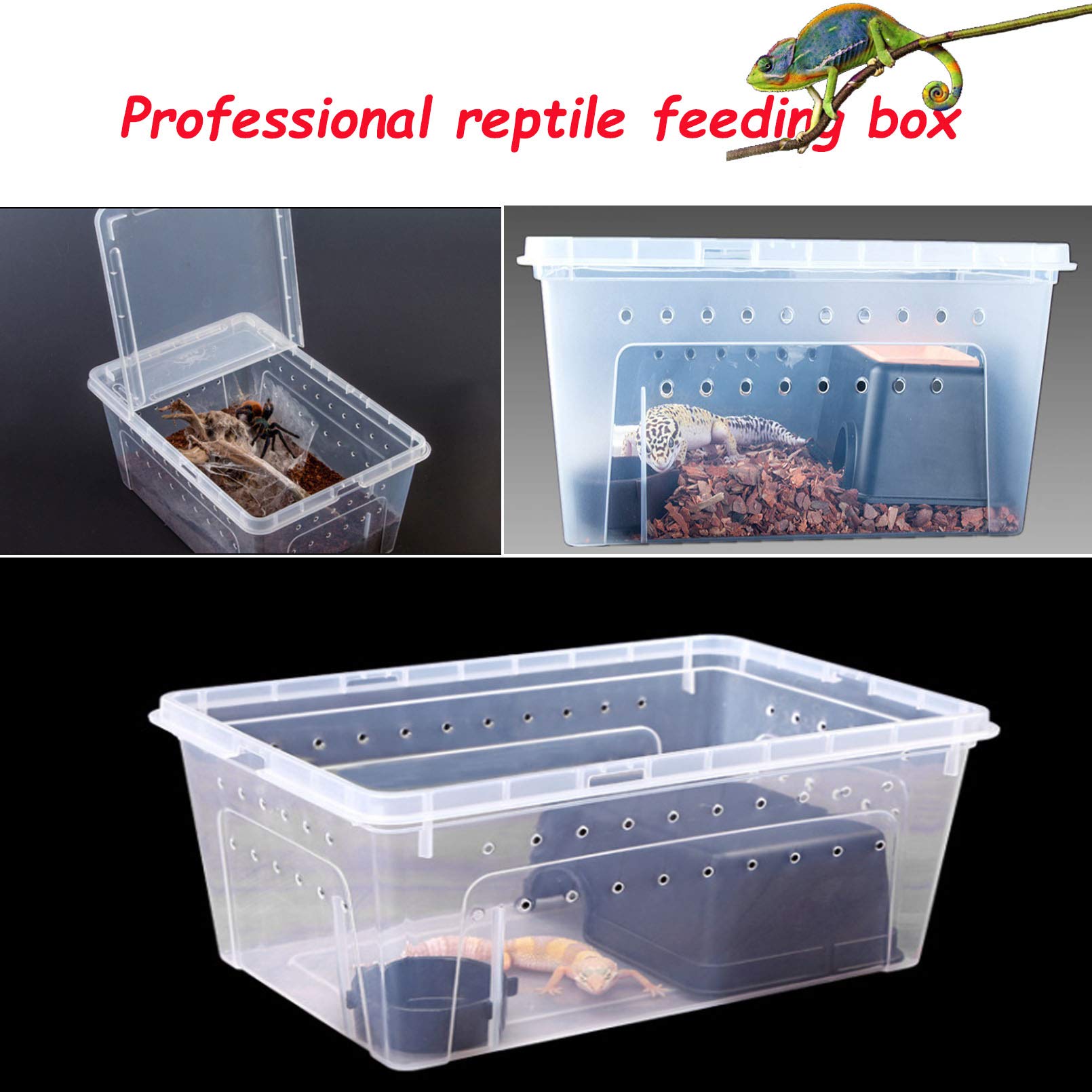 Hamiledyi 2Pcs Reptile Feeding Box Snake Breeding Box Transparent Animal Habitat Cage Portable Plastic Turtle Transport Container For Bearded Dragon Lizard Spider Frog Scorpion Gecko 12.6 X 8.6 X 5.9