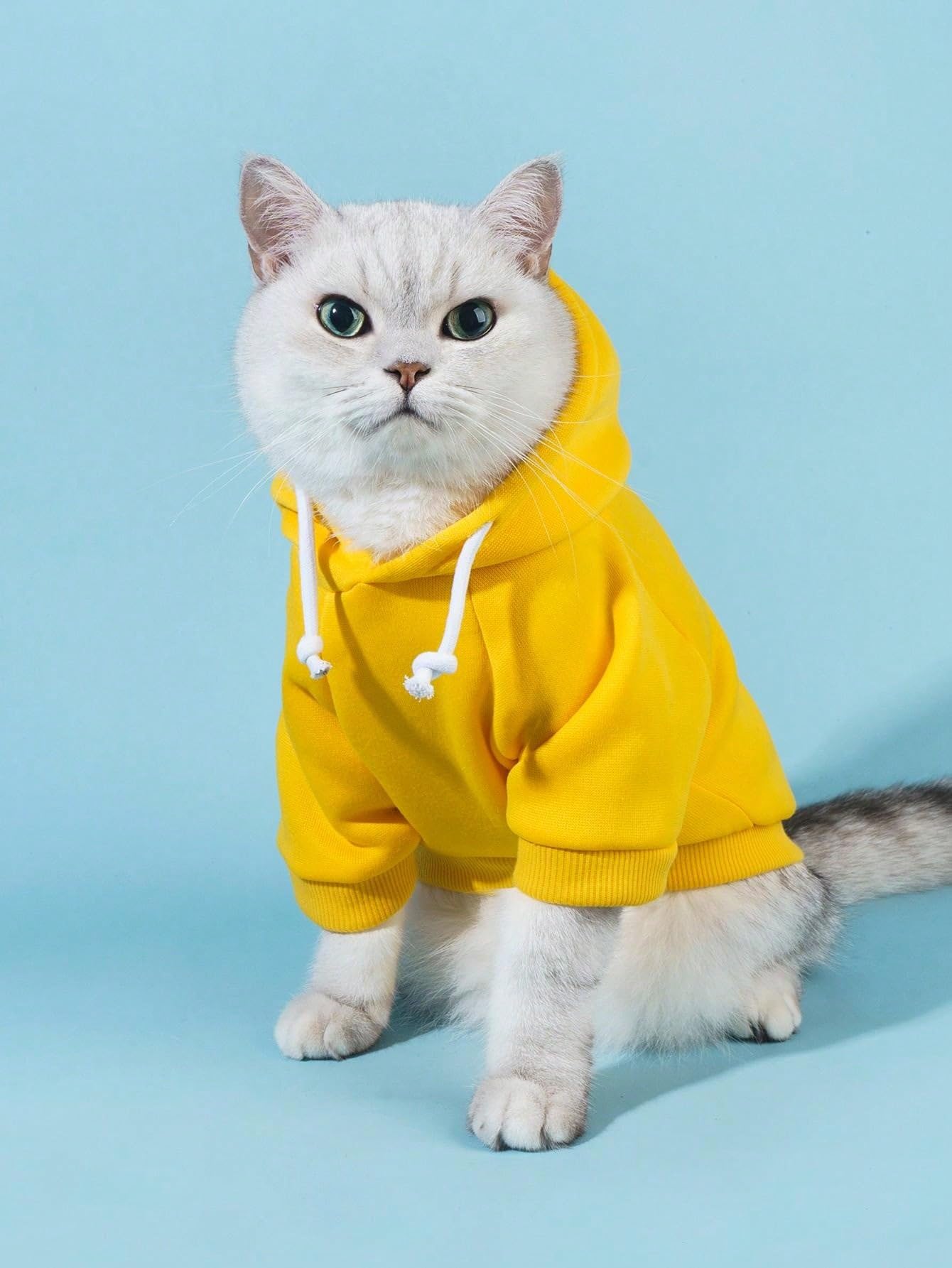 Qwinee Basic Dog Hoodie, Dog Warm Jacket, Cat Apparel, Dog Shirt, Dog Clothes For Puppy Kitten Small Medium Dogs Cats Yellow M