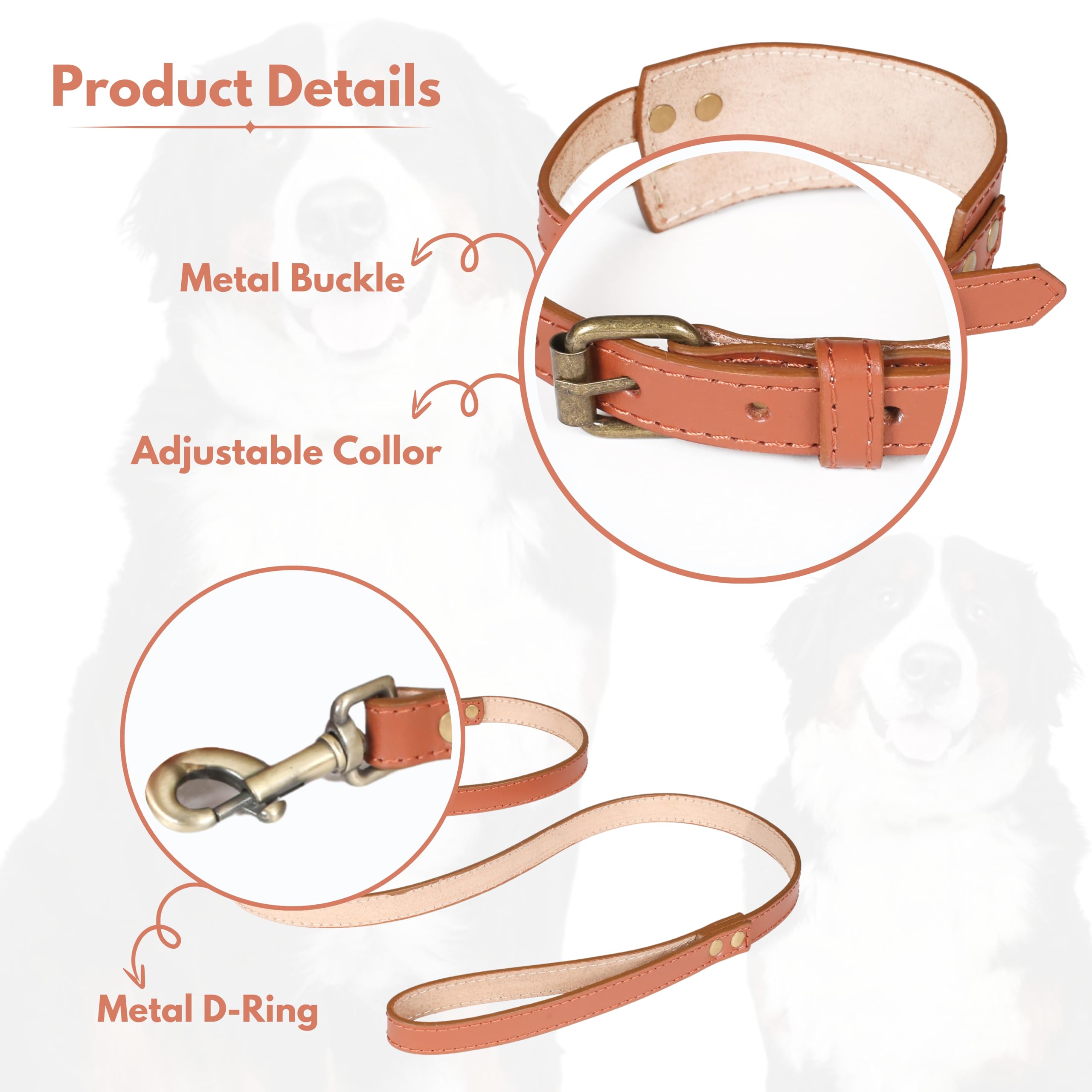 Light & Pro Tan Leather Dog Collar And Leash Set - Soft Handsome Comfirtable Durable Leash And Adjustable Collar Set - 18 Inch C