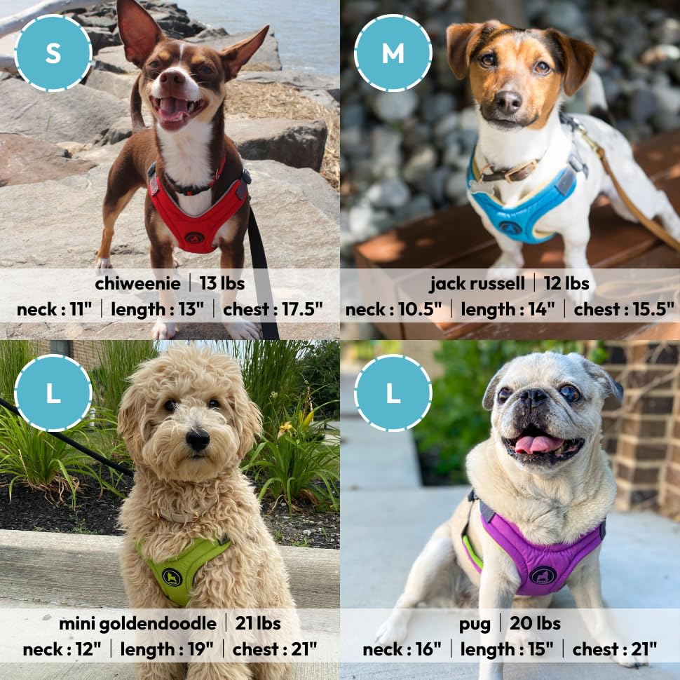 Gooby Escape Free Memory Foam Harness - Purple, Medium - No Pull Step-In Small Dog Harness With Four Point Adjustment - Perfect