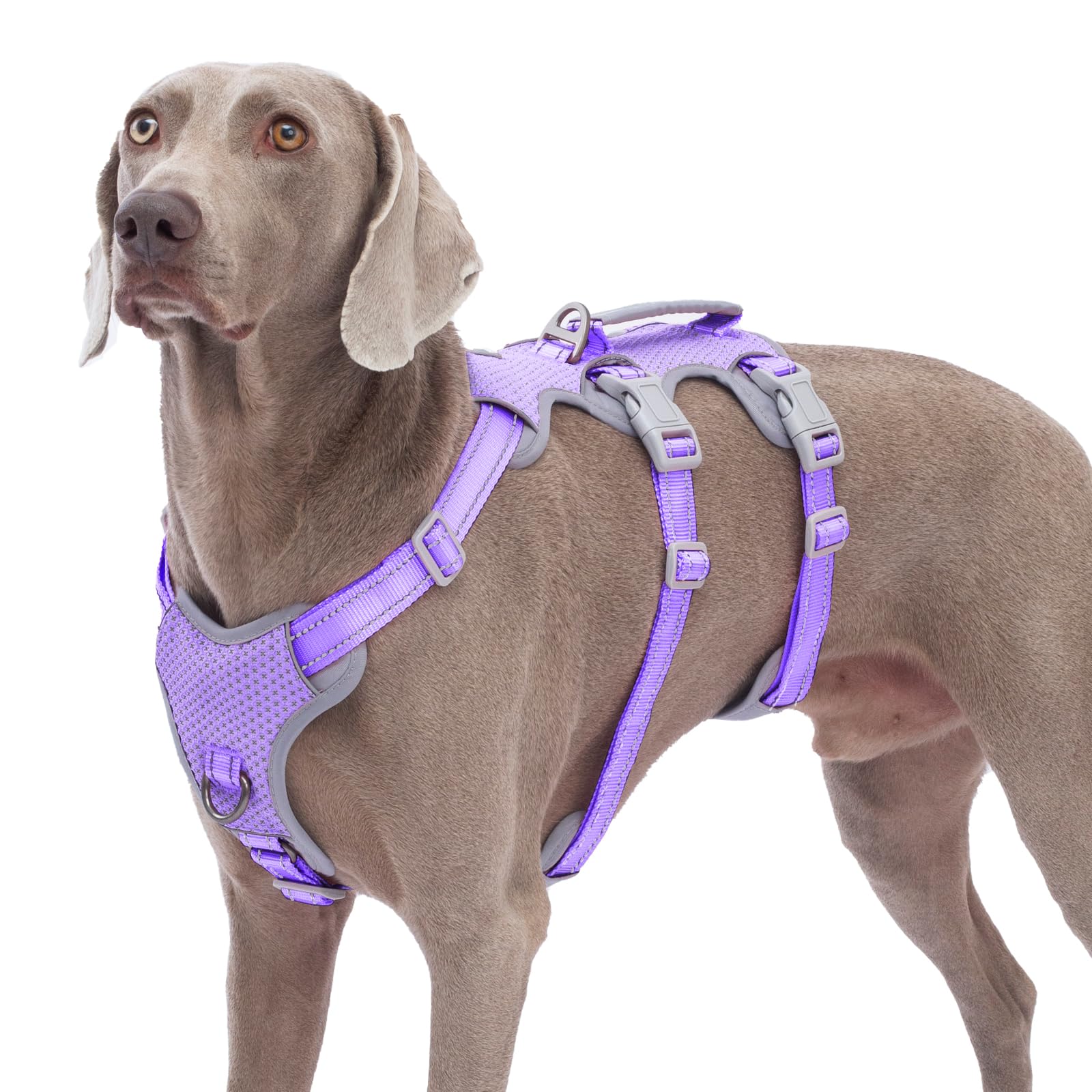 Huntboo Escape Proof Dog Harness,No Pull Reflective Harness With Lift Handle,Adjustable Pet Vest With Front And Back Leash Clips