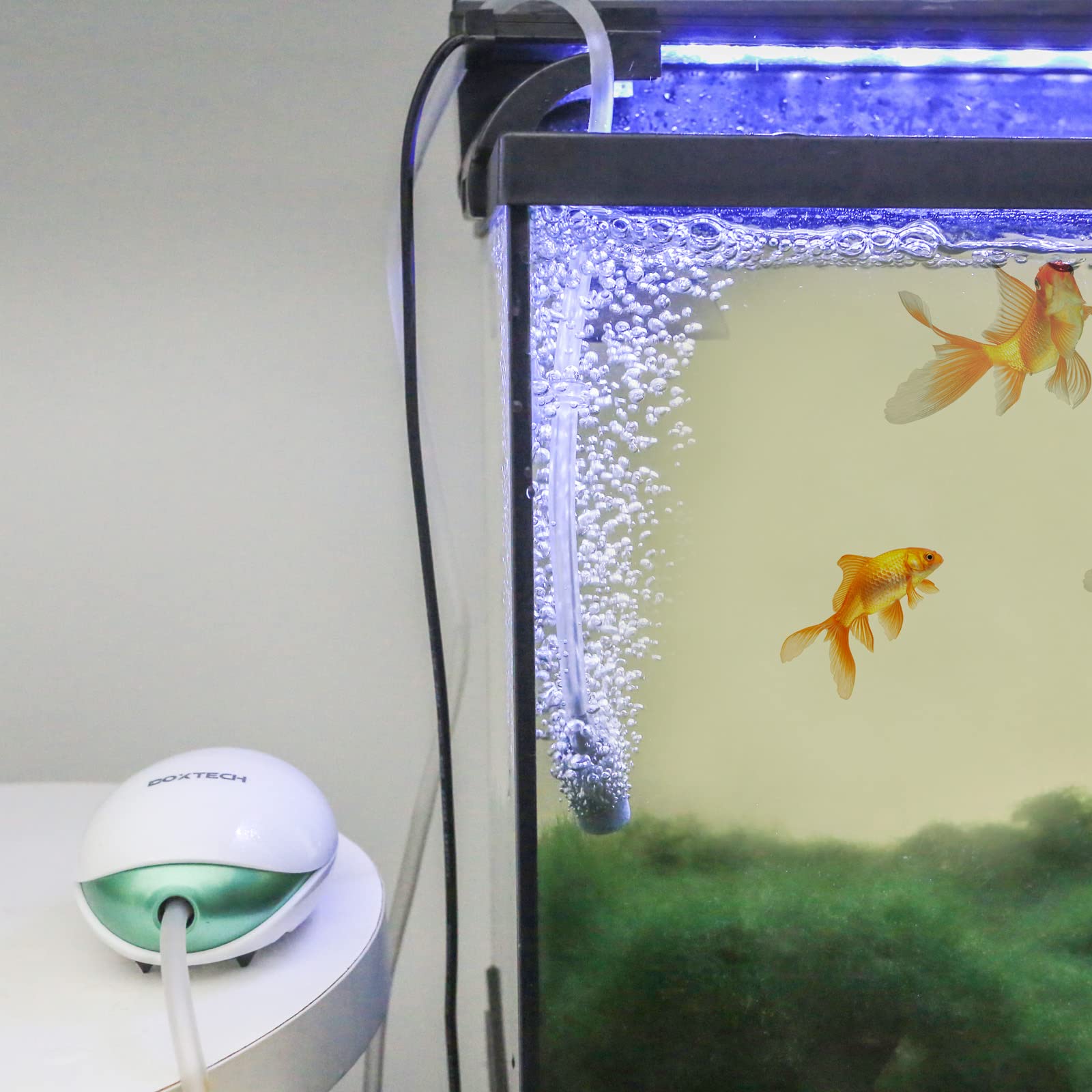 Boxtech Aquarium Air Pump,Oxygen Fish Air Pump With Adjustable Air Valve, Fish Tank Air Pump With Accessories Tube, Bubble Stone