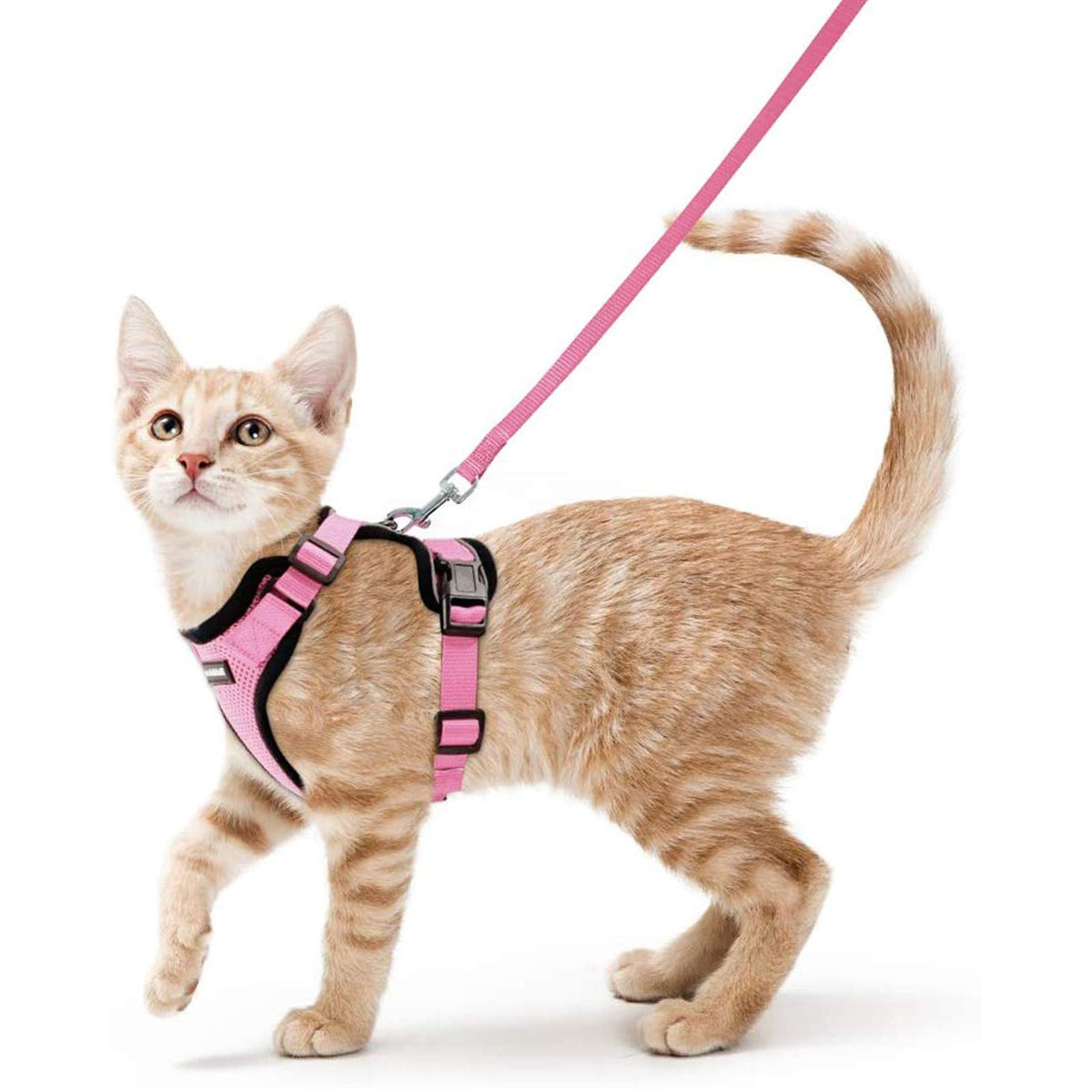 Rabbitgoo Cat Harness And Leash For Walking, Escape Proof Soft Adjustable Vest Harnesses For Cats, Easy Control Breathable Reflective Strips Jacket, Pink, Xs