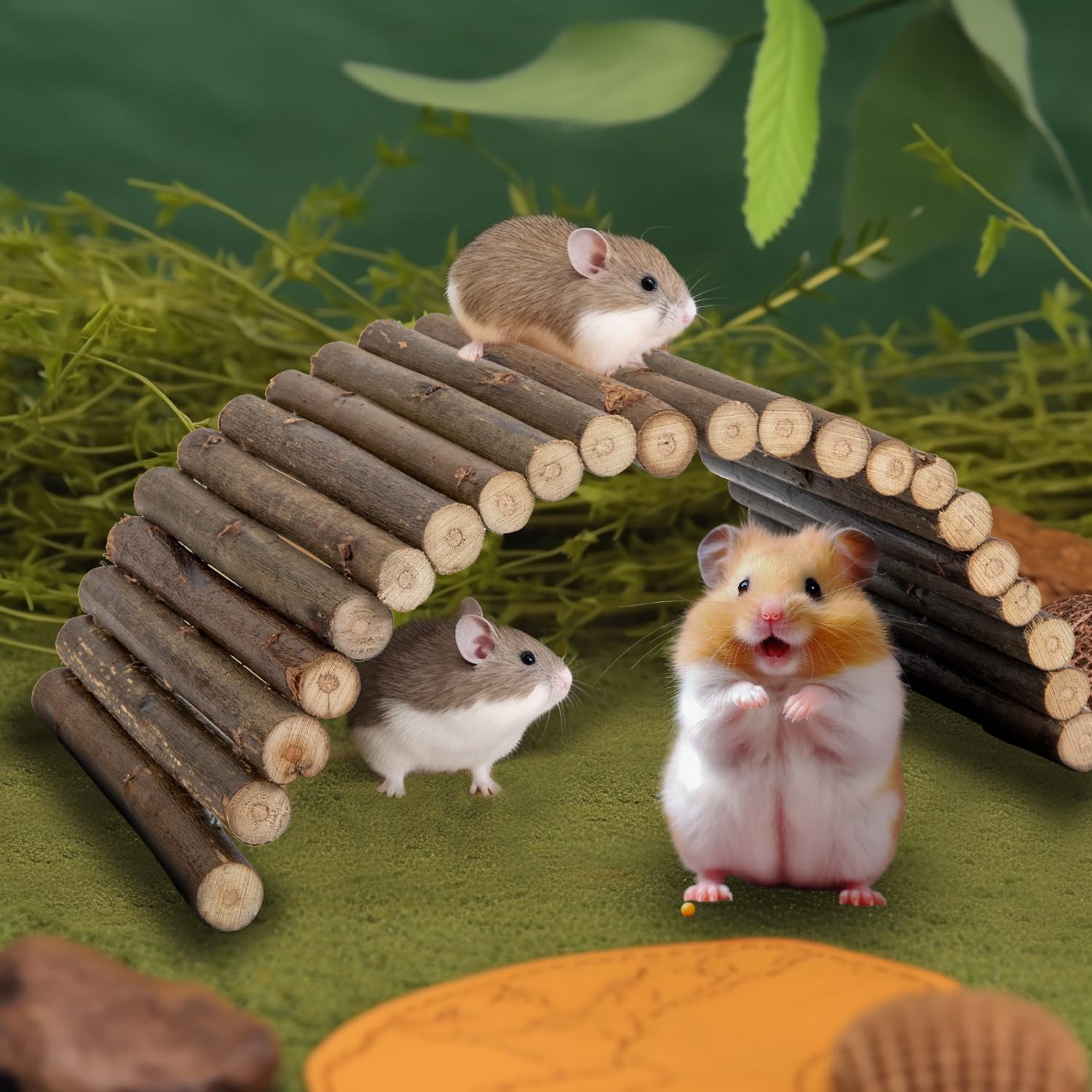 Sofier Hamster Toys 2 Pack Hamster Bridges Natural Wooden Hideout Tunnel Ladder Hamster Cage Accessories Chew Toys for Guinea Pi