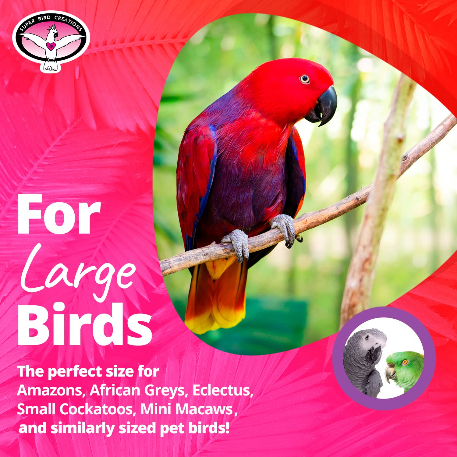 Super Bird Creations Sb319 Katy'S Abc Interactive Bird Toy - Durable Chew Toy, Textured Abc Blocks, Safe 'Polly' Rope, Ideal For