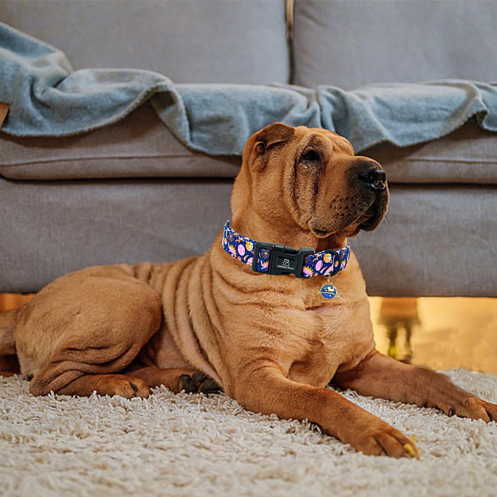 Lionheart Glory Dog Collar Dinosaurs Pattern Cute Collar For Medium Dogs Spring Summer Female Or Male Collars Pets Gift Adjustab