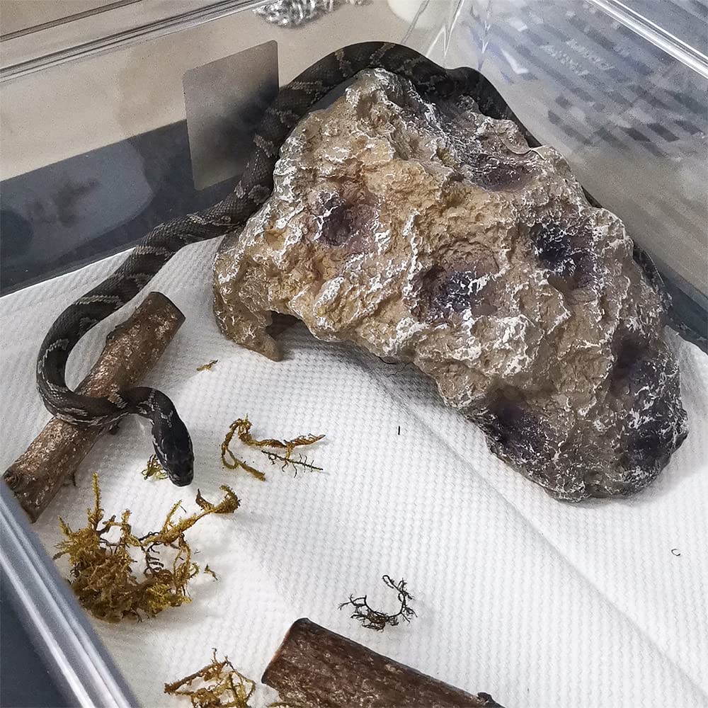 Flushbay Reptile Rock Hide Cave Resin Large Reptile Hideouts Habitat Cave Terrarium Decorations for Bearded Dragon Lizards Gecko