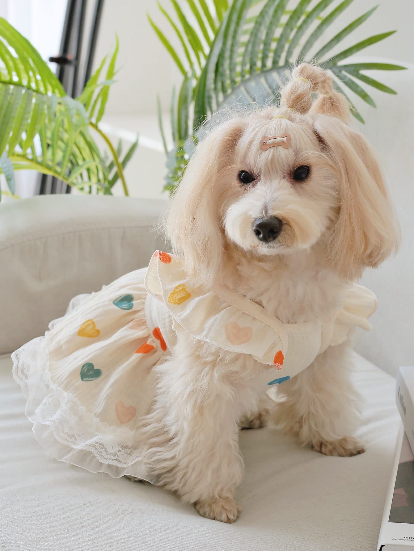 Qwinee Cute Heart Pattern Dog Dress Ruffle Trim Princess Dress Cat Vest Dress Lace Trim Summer Dress Pet Clothes For Small Mediu