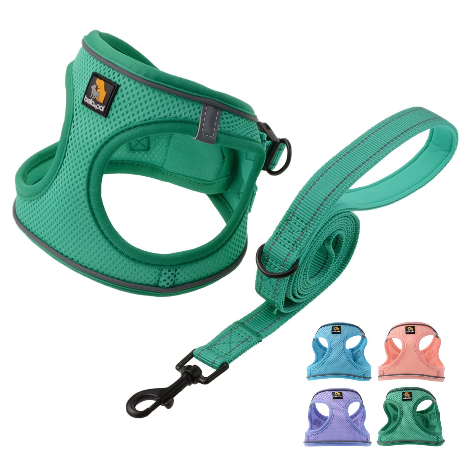 Bella & Pal Puppy Harness & Leash Set, No Pull, Step-In Harness For Extra Small Dogs, Green Xs