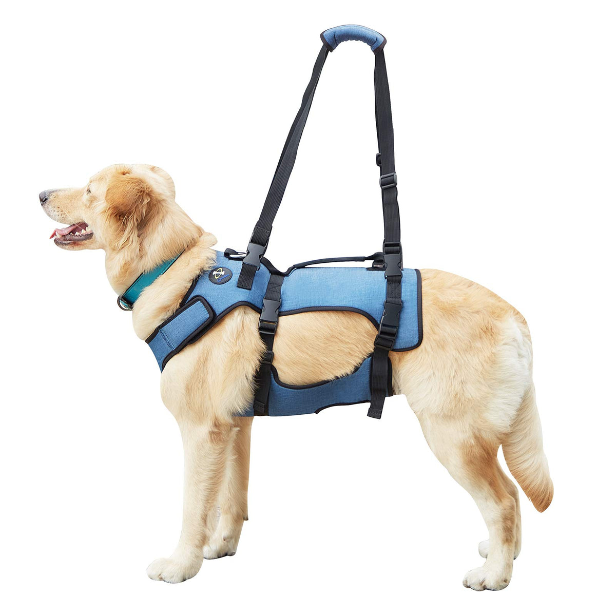 Coodeo Dog Lift Harness, Support & Recovery Sling, Pet Rehabilitation Lifts Vest Adjustable Breathable Straps For Old, Disabled, Joint Injuries, Arthritis, Paralysis Dogs Walk (Xxlarge)