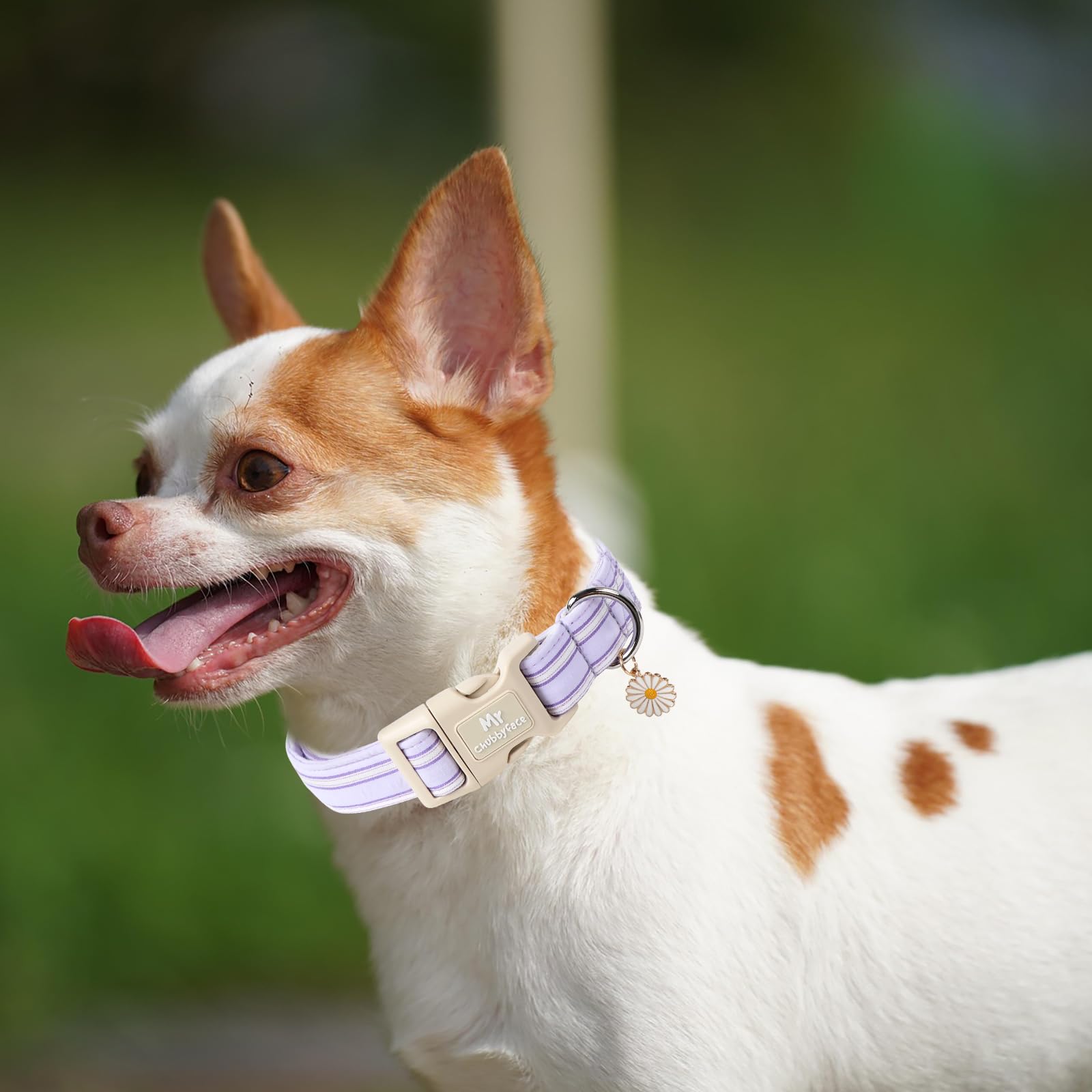 Mr.Chubbyface Cotton Dog Collar, Cute Lavender Summer Puppy Collar With Plastic Buckle, Adjustable Soft Natural Fabric Pet Colla