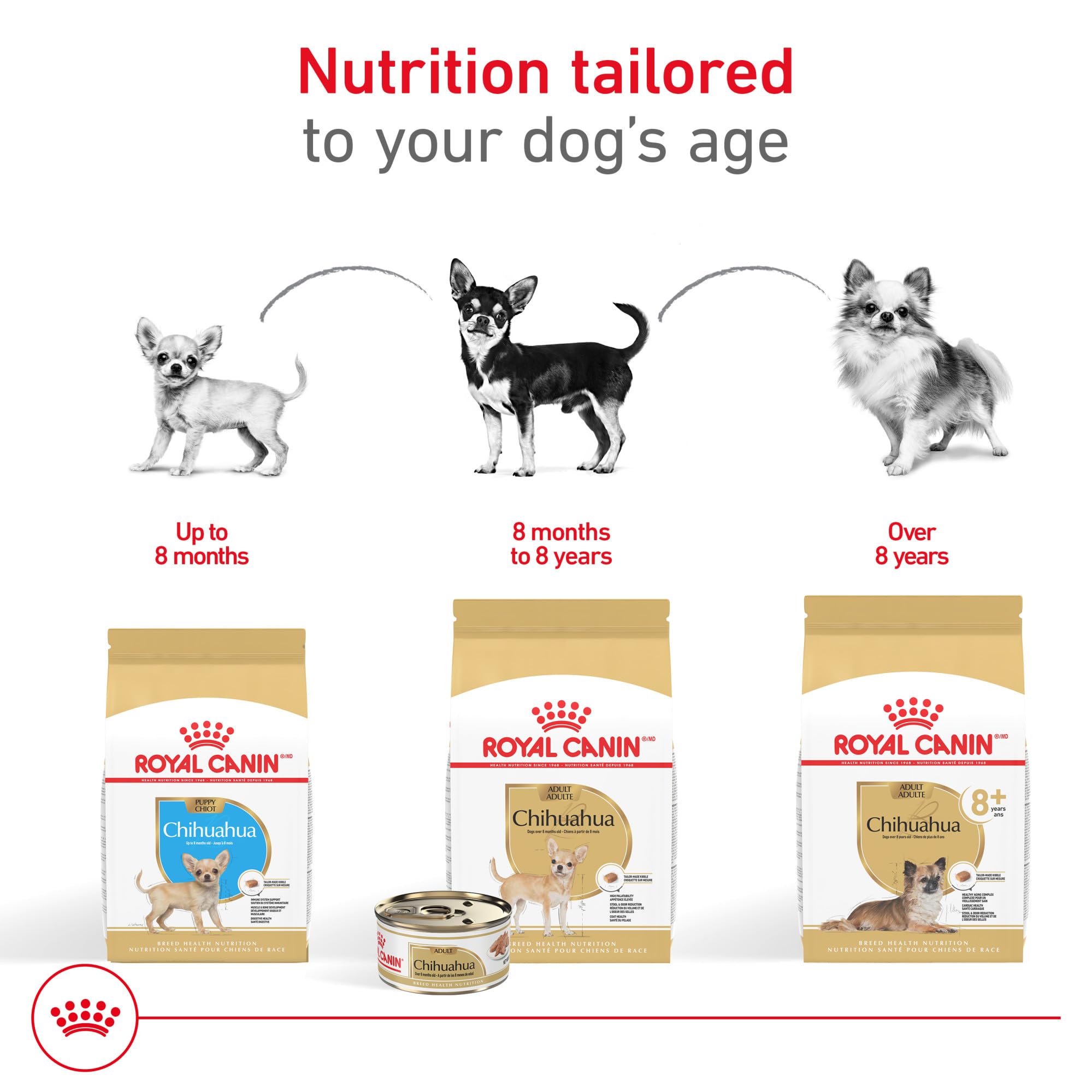 Royal Canin Breed Health Nutrition Chihuahua Adult Loaf in Sauce Wet Dog Food, 3 oz can (24-count)