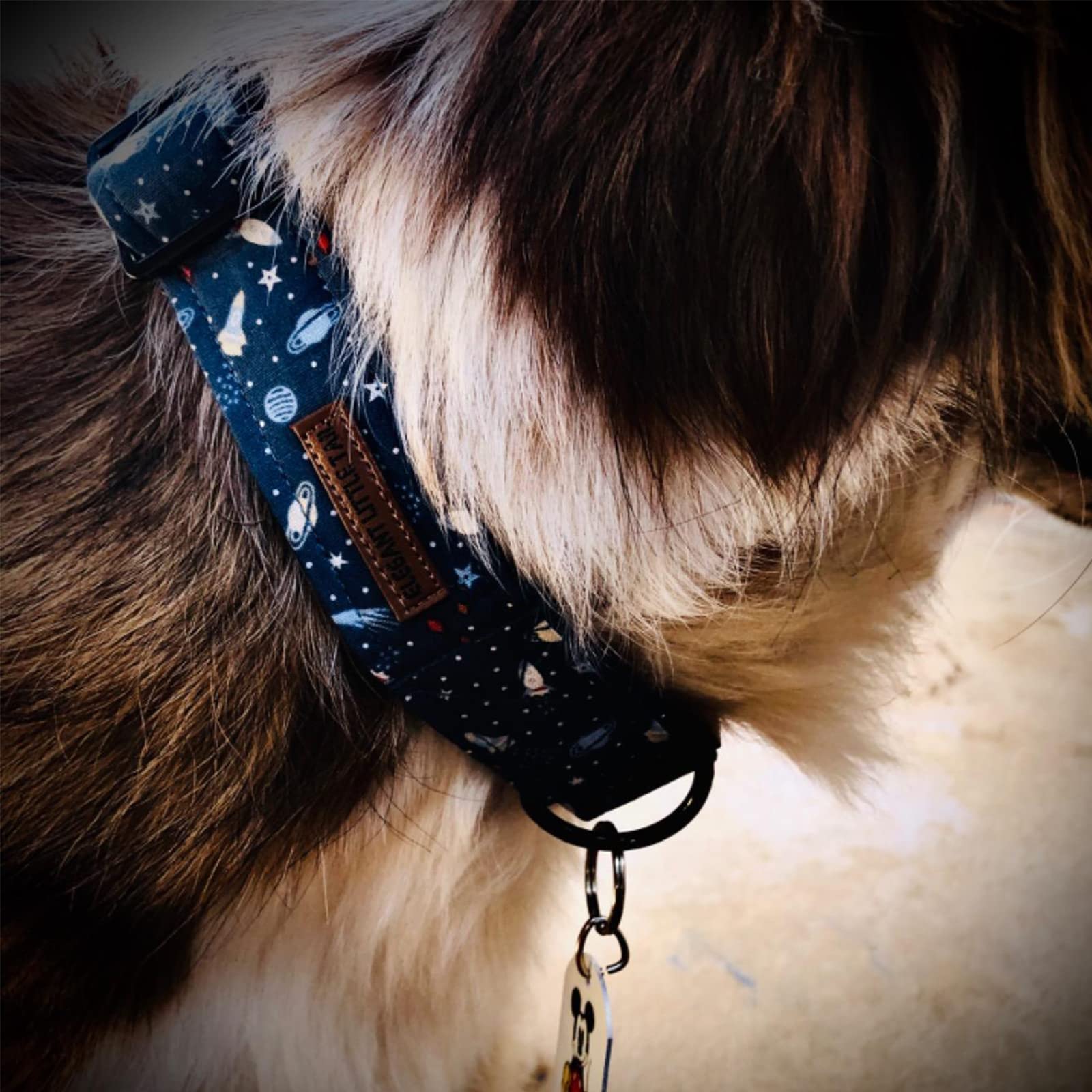 Elegant Little Tail Dog Collar, Blue Universe Pattern Pet Collar Durable Cute Dog Collars Male Pet Gift Adjustable Dog Collar Fo