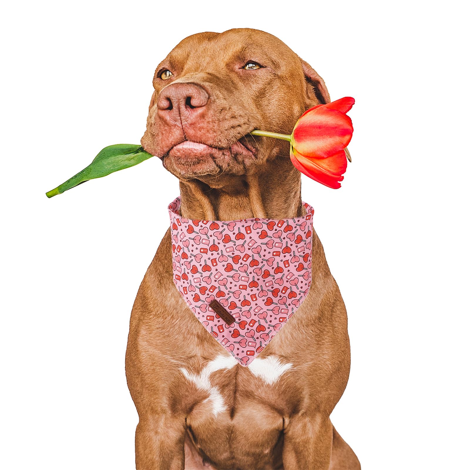 Up Urara Pup Valentine Dog Bandana - Pink Heart Triangle Bid Scarf For Small/Medium Dogs, Cats; Cotton Kerchief For Girl/Boy Pet