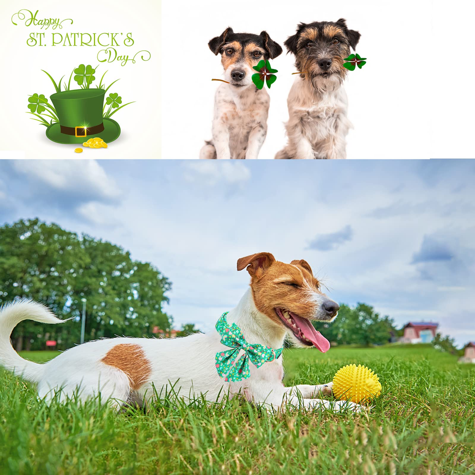 Unique Style Paws St. Patrick'S Day Dog Collar With Tie Rainbow Clover Heart Puppy Collar For Small Medium Large Boys Girls-Xl