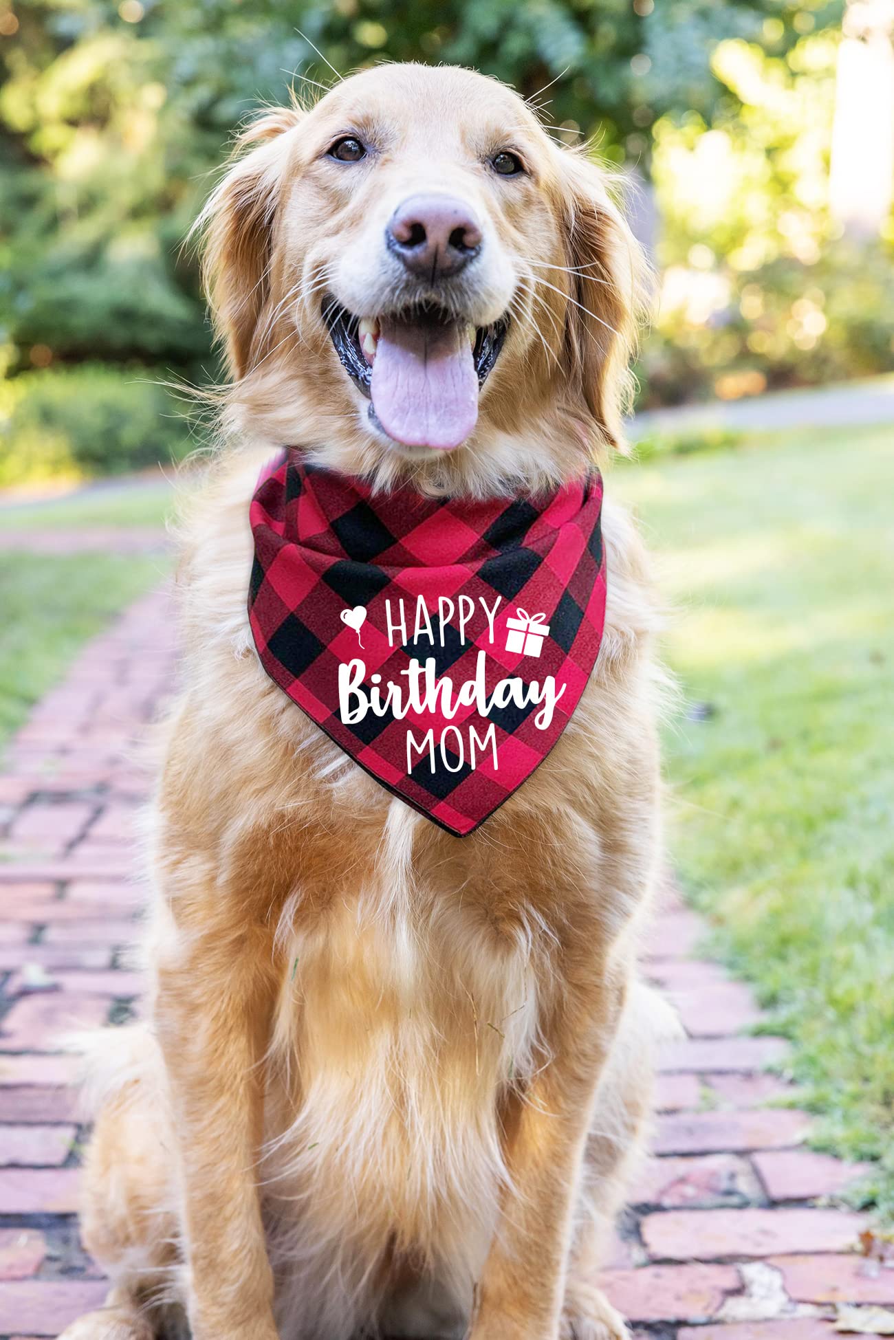 Ptzizi Funny Red Plaid Happy Birthday Mom Dog Printed Triangle Bandana, Small Medium Large Girl Pet Dog Birthday Party Scarf Bib
