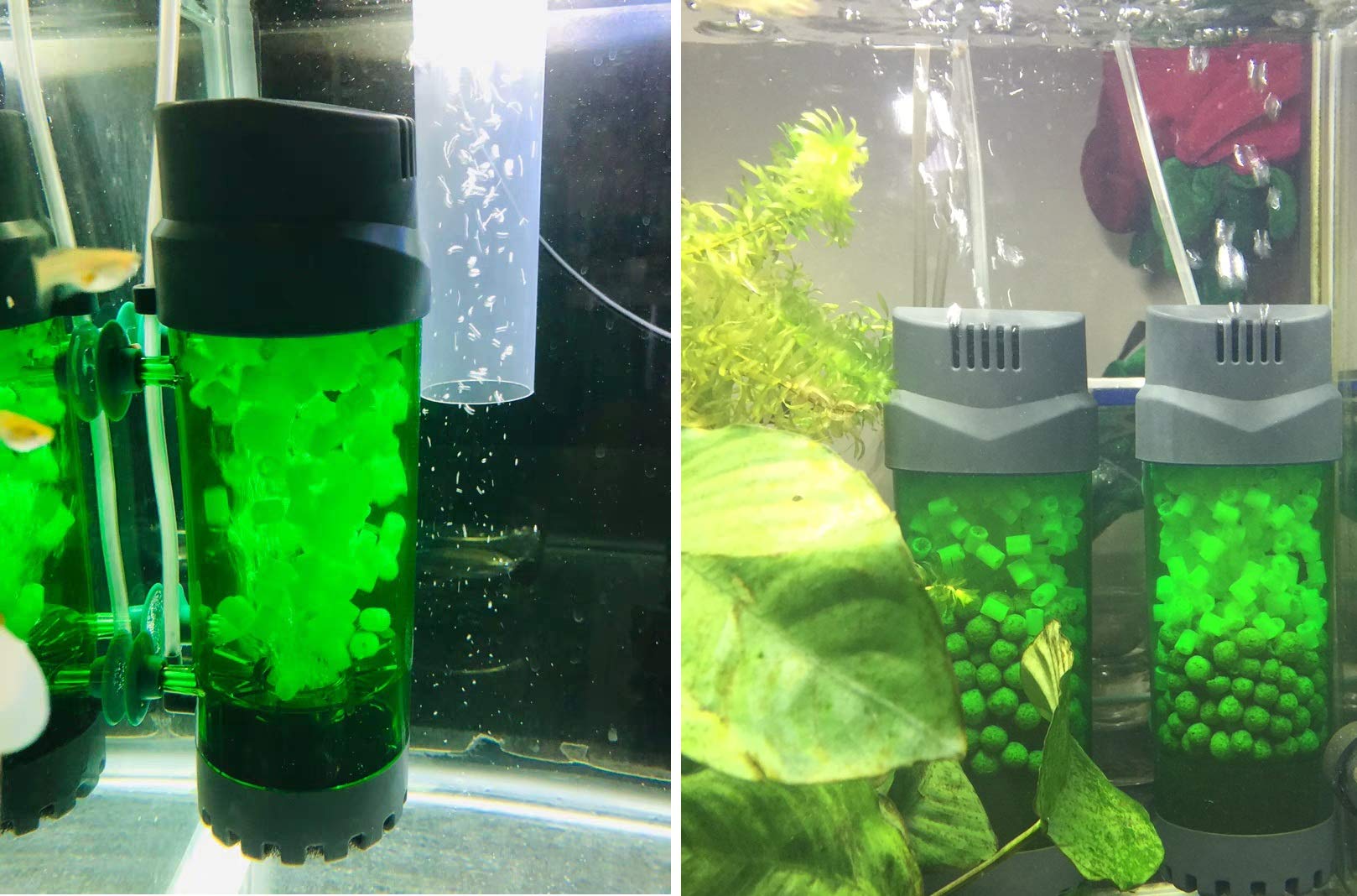 Qanvee Fluidized Moving Bed Filter Bubble Bio Media Reactor For Aquarium Fish Tank With Air Stone And Sponge Filter (Lh-600)