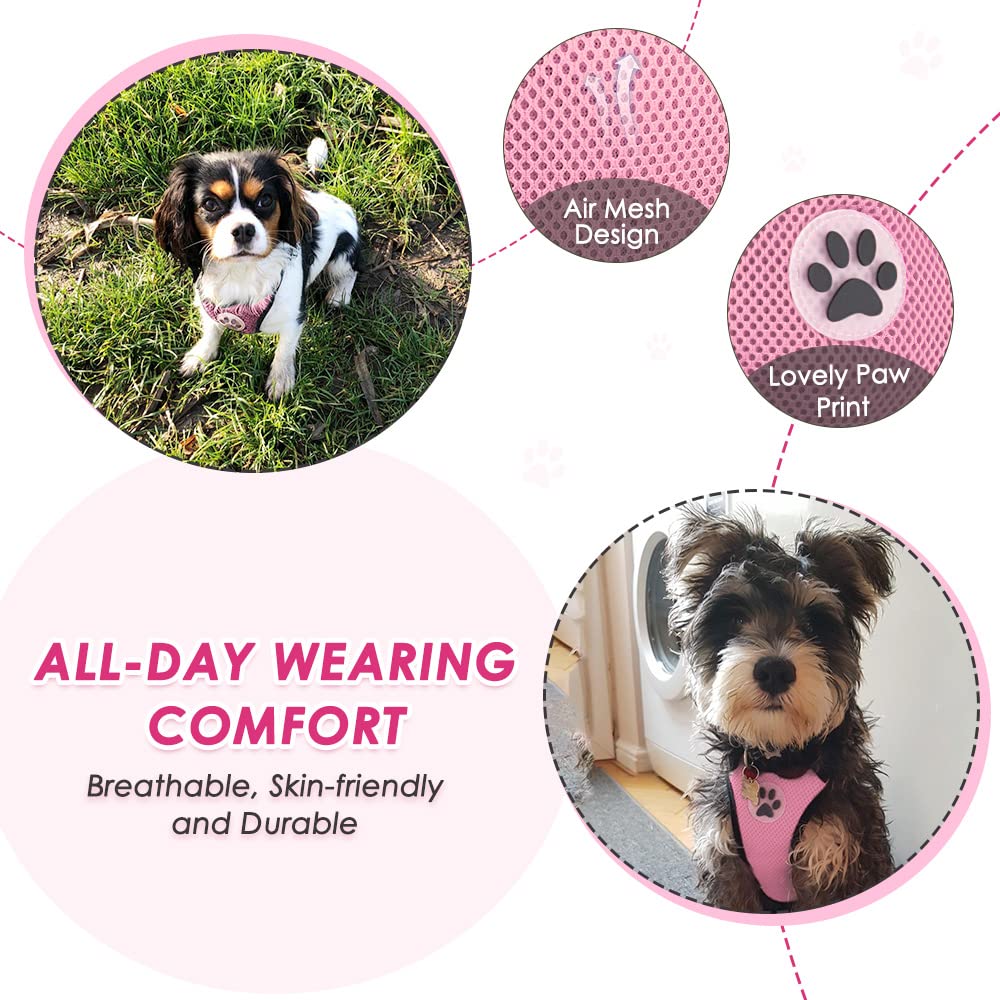 Slowton Dog Car Harness Seatbelt Set, Dog Vest Harness Adjustable Mesh Breathable & Vehicle Safety Seat Belt Tether With Elastic Bungee For Small Medium Large Pets(Pi,Xxxs)