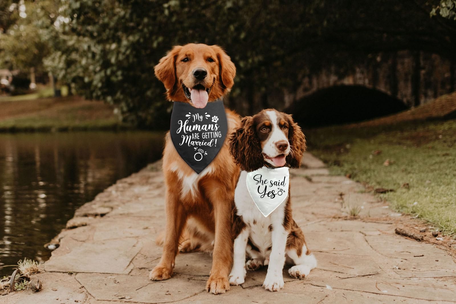 Kisjo 2 Pack My Humans Are Getting Married She Said Yes Dog Bandana, Funny Pet Triangle Scarf Bandanas Wedding Engagement Gift,