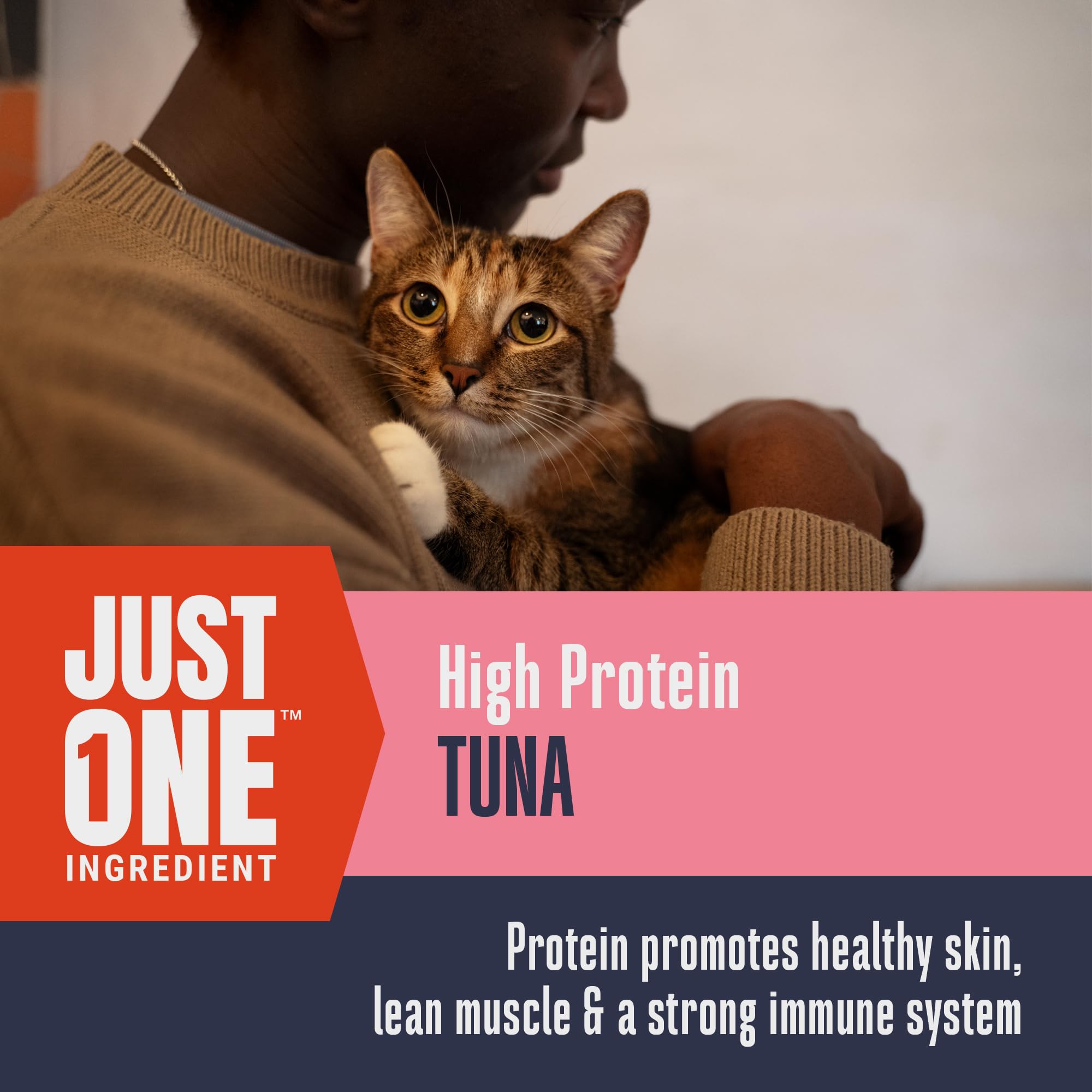 Whole Life Pet Just One Tuna Freeze Dried Cat Treats - Human Grade Cat Food Toppers, High Protein Cat Snacks, Cat Toppers for Fo