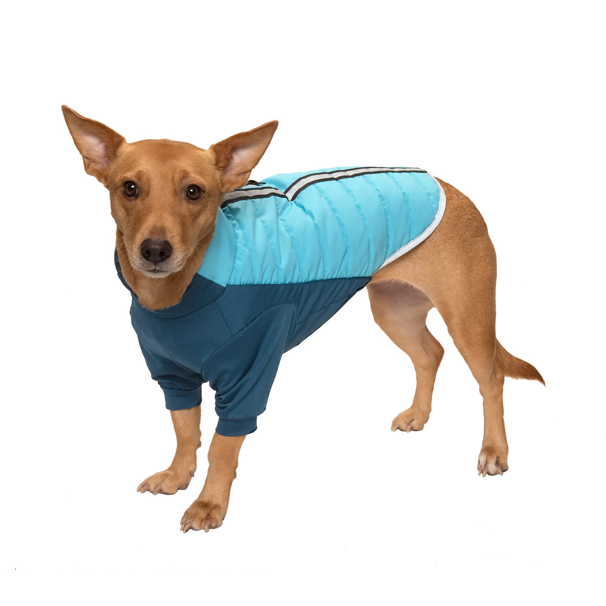 Furhaven Small Dog Coat Water-Repellent Pro-Fit Active Jacket, Washable - Aquamarine, Small