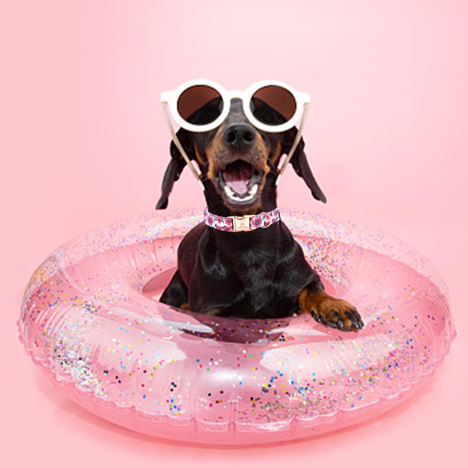 Lionheart Glory Dog Collar Pink Dog Collars For Female Dogs Soft Durable Adjustable Puppy Gift Collar Summer Spring Collar Dog P