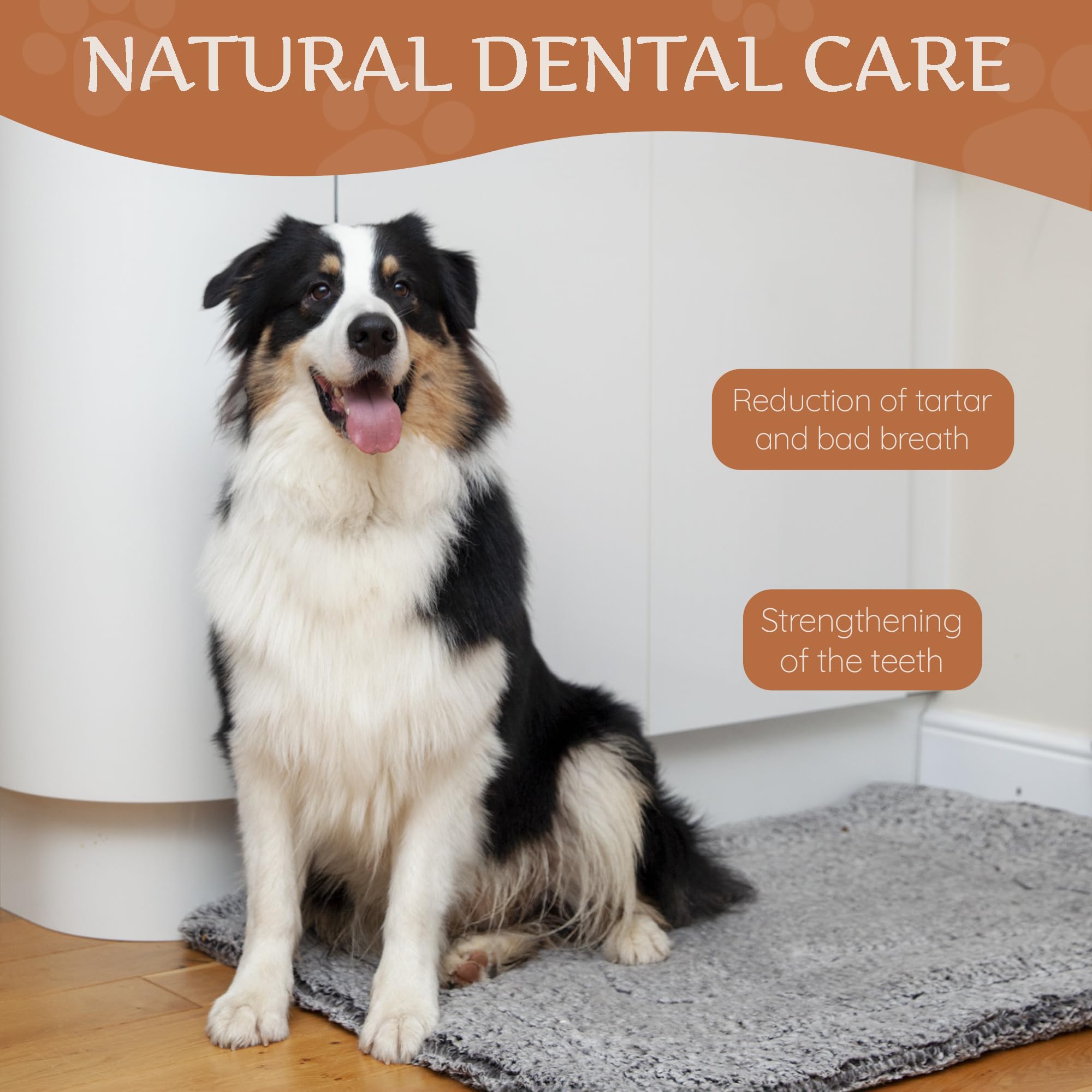 Wildfang Natural Yak Chews for Dogs, Hard Yak Cheese Dog Chews from Cow Milk - 3 Pack Cheese Yak Chews for Large Dogs & Small Do