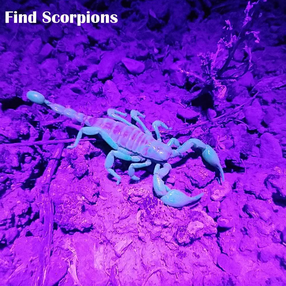 Beike Uv Flashlight Black Light, Small Portable Blacklight Flashlight Uv Light, 12 Led Mini Black Light Flashlight For Pet Urine Detection (Dog Cat), Scorpion, Resin Curing, Bed Bug