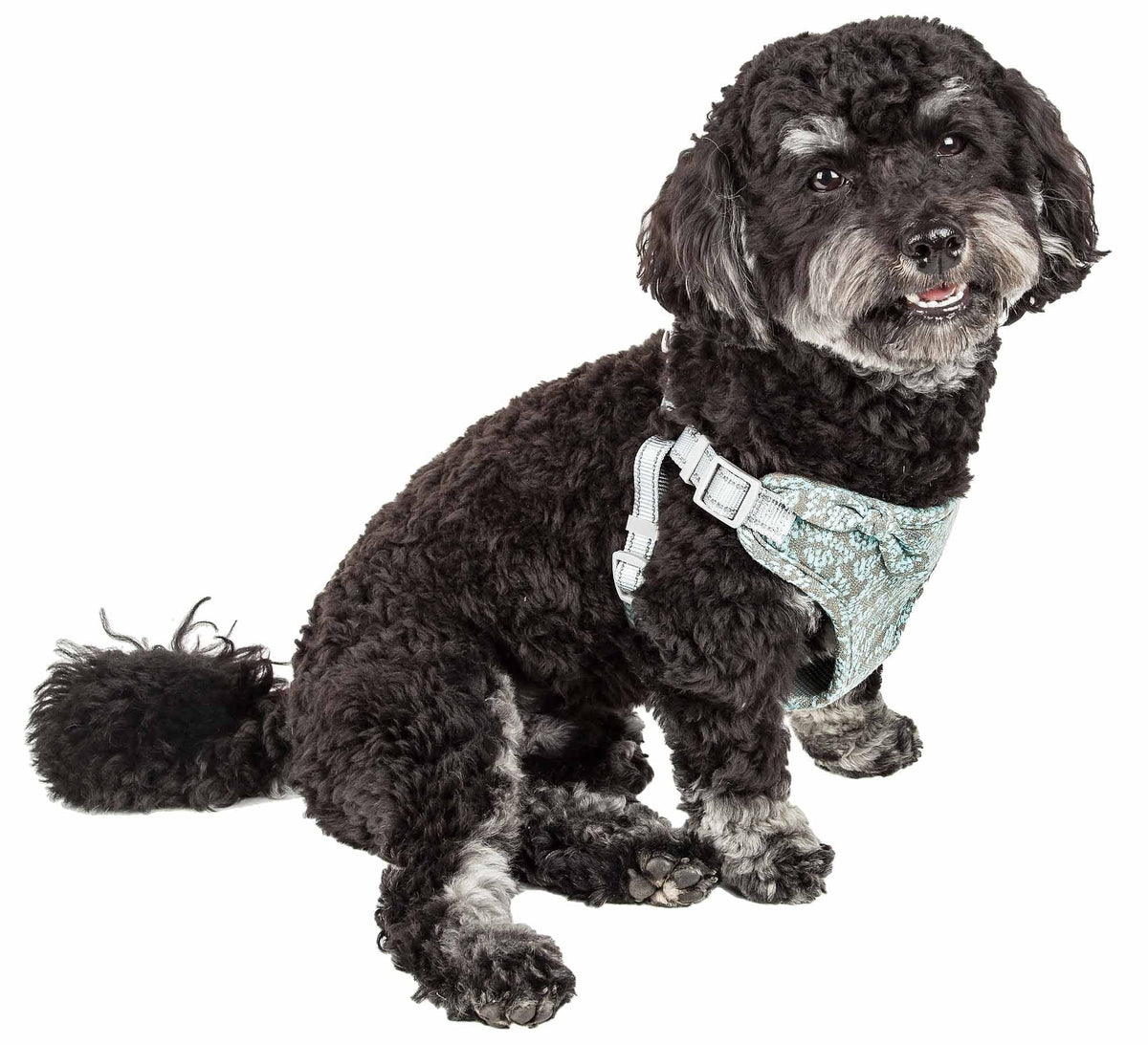 Pet Life ® 'Fidomite' Dog Harness with Built-in Designer Textured Dog Bowtie - Pet Harness with Reversible and Breathable Micro-mesh and Stainless Steel Dog Leash Connecting Loops